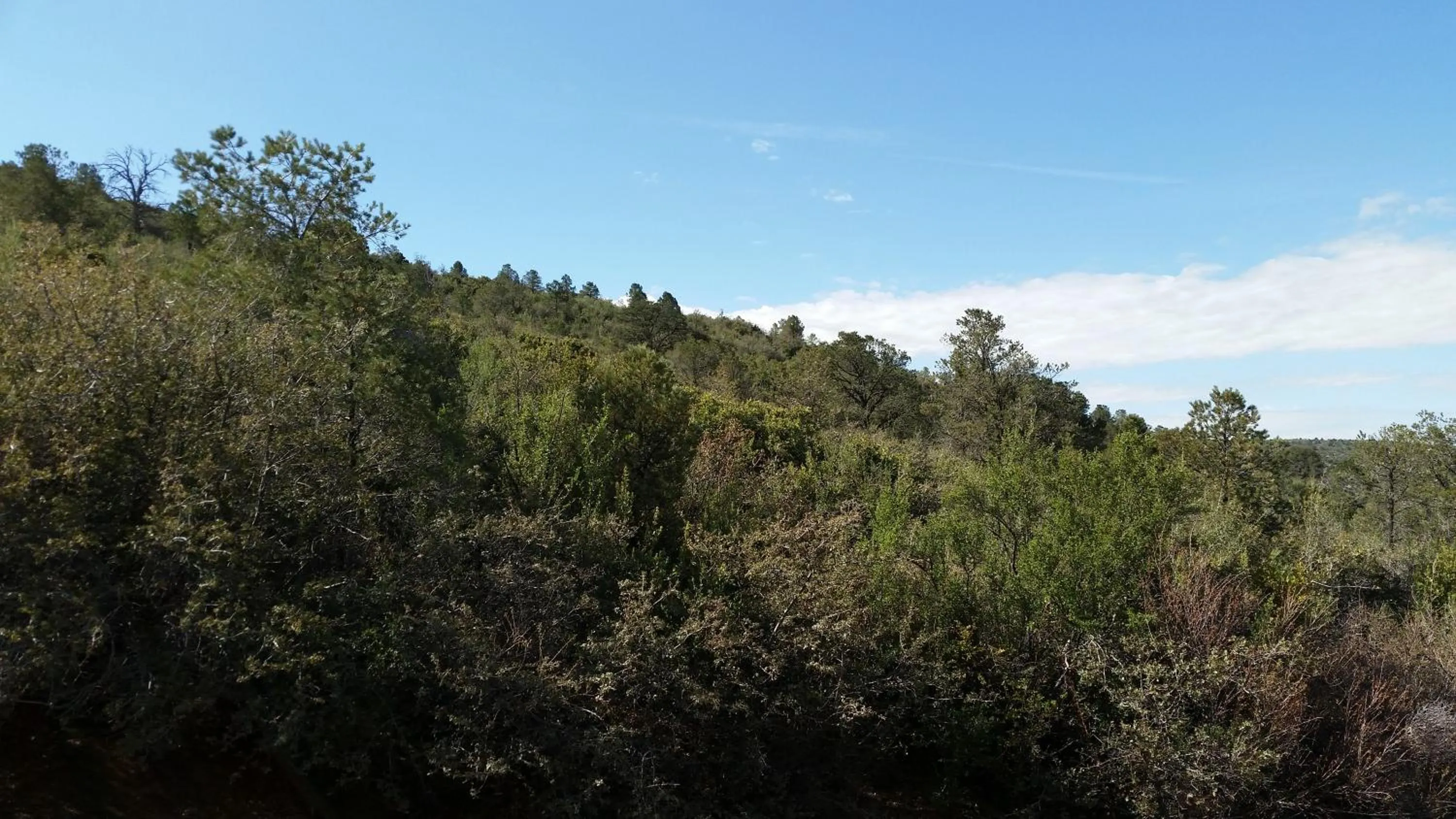 View (from property/room) in Chisolm Trail Villa