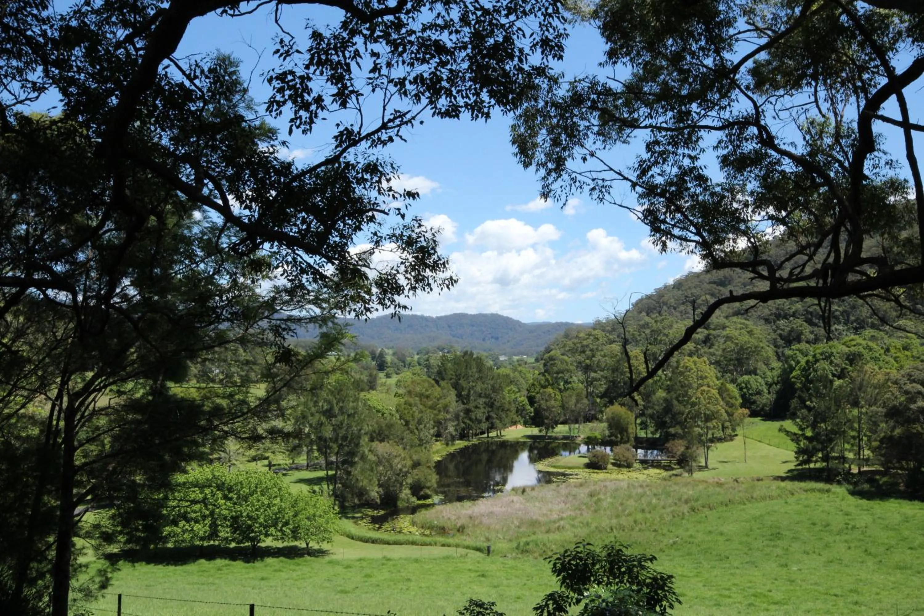 Mountain view in Friday Creek Retreat