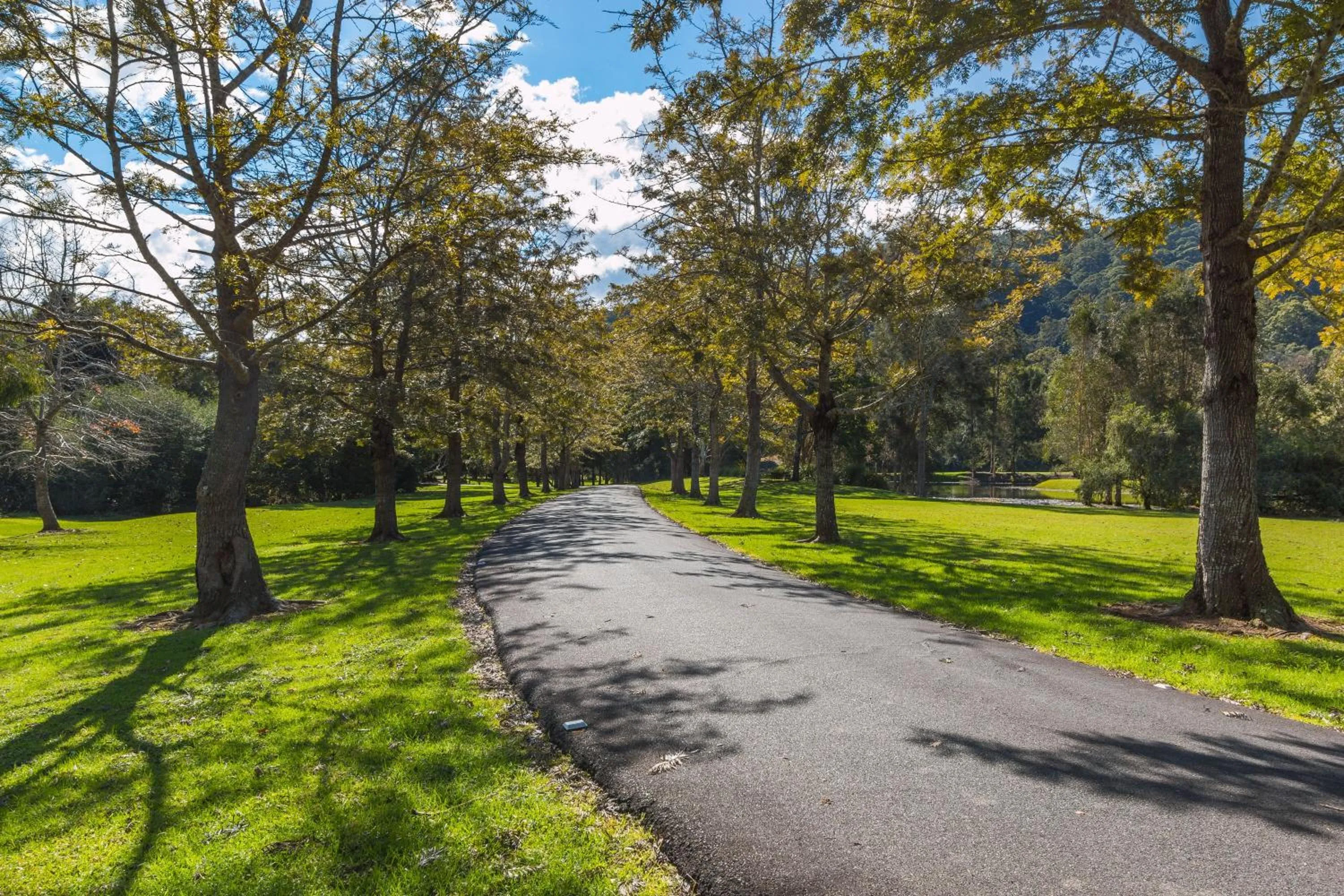 Garden in Friday Creek Retreat