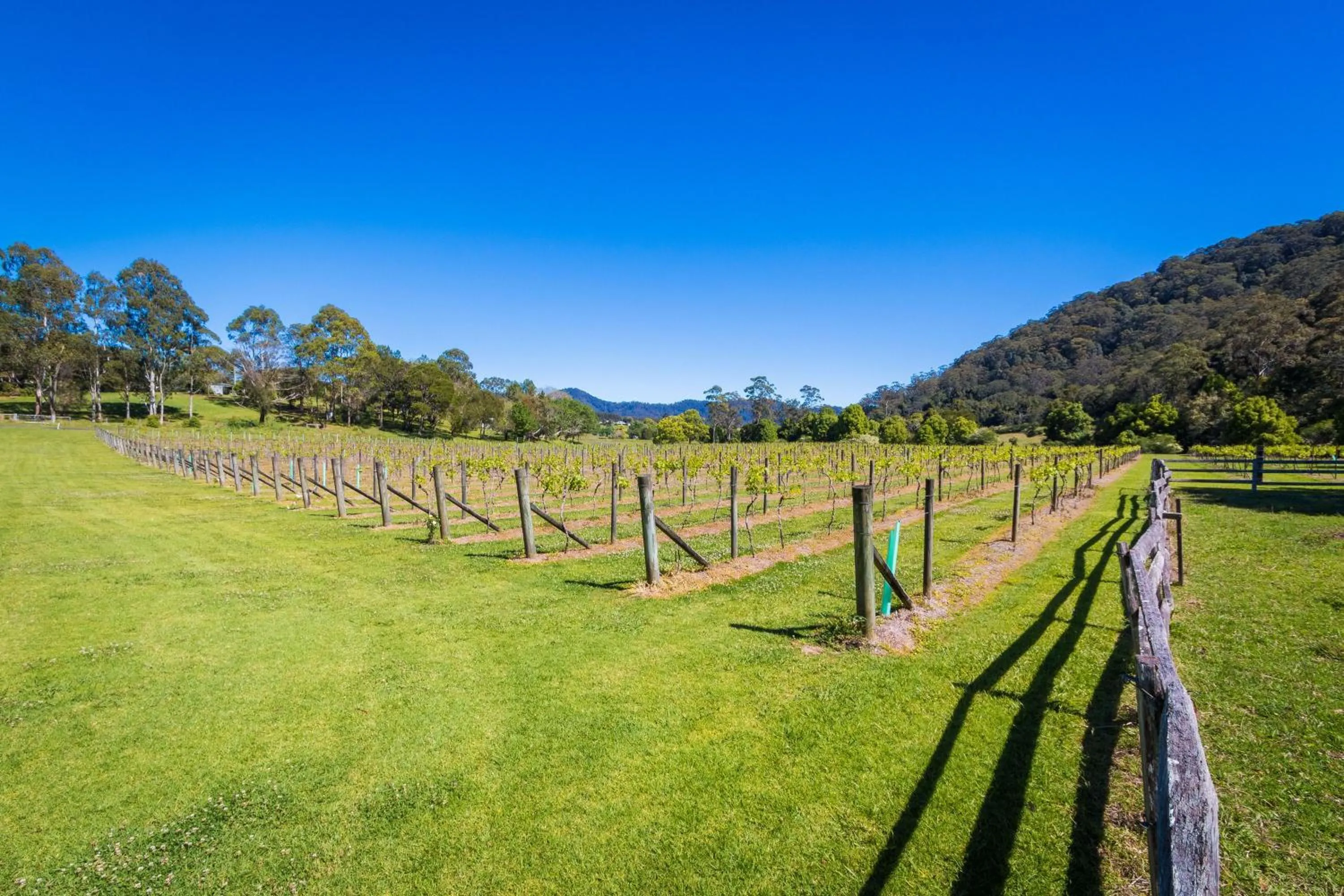 Garden in Friday Creek Retreat