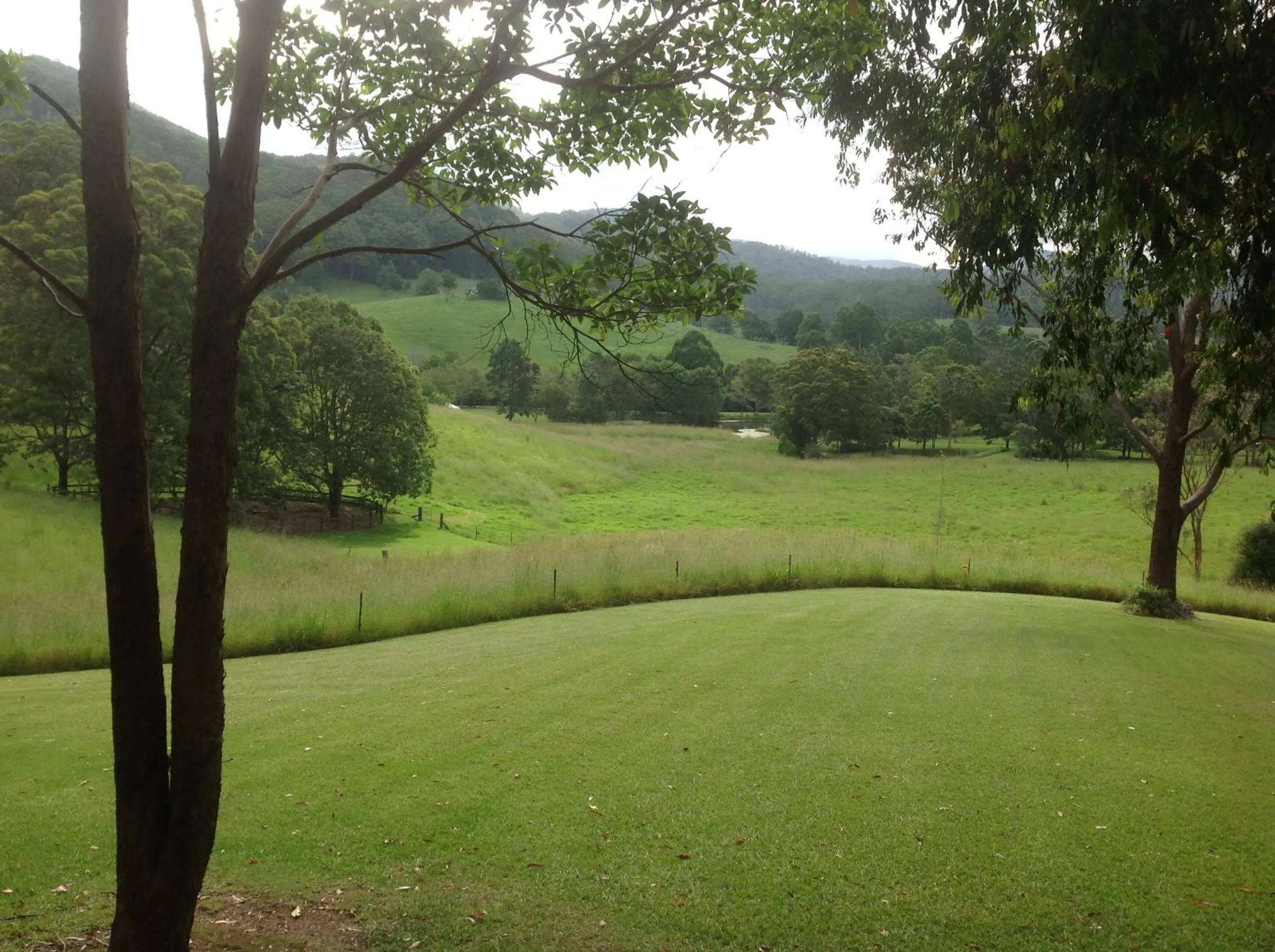 Garden view in Friday Creek Retreat
