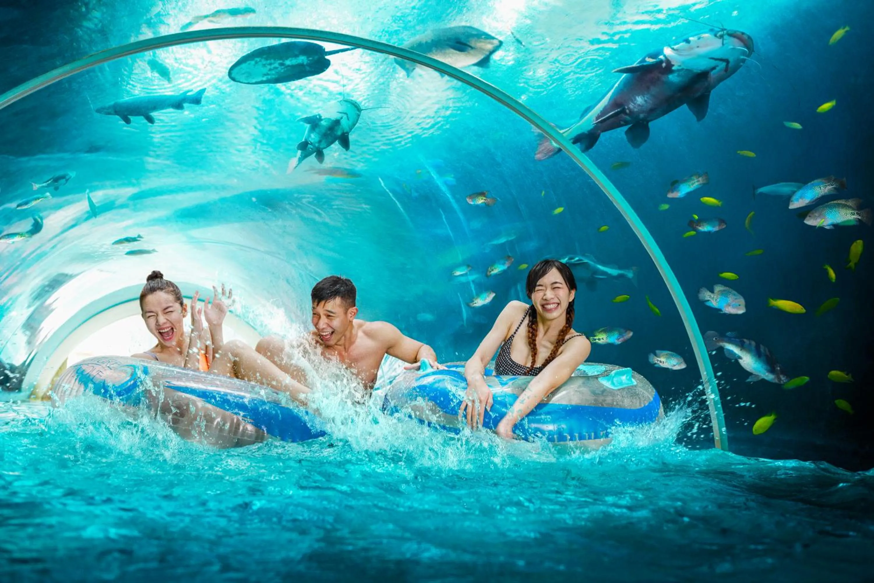 Aqua park in Resorts World Sentosa - Crockfords Tower