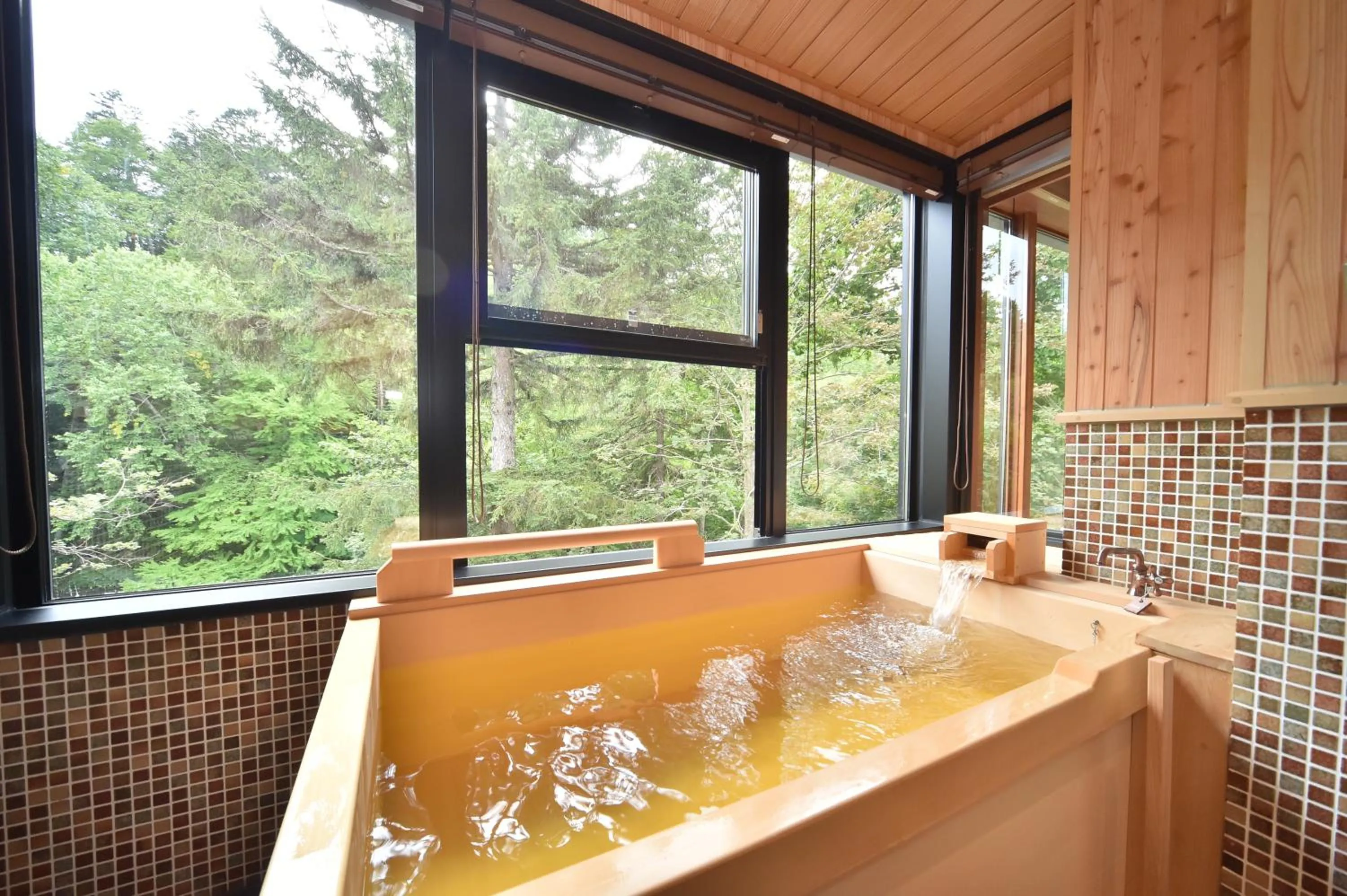 Hot Spring Bath in La Vista Akangawa