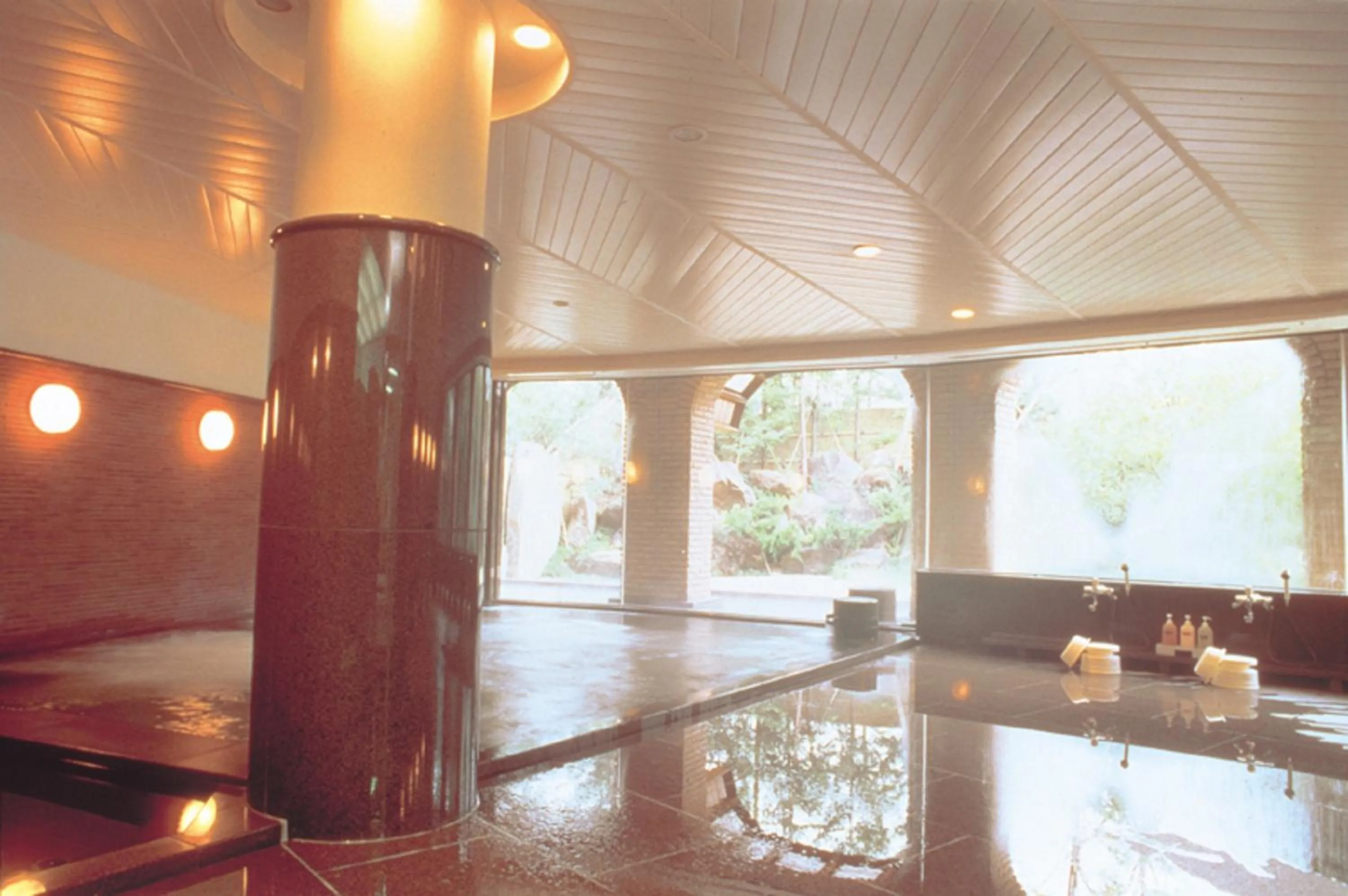 Public Bath in Hotel De Premiere Minowa