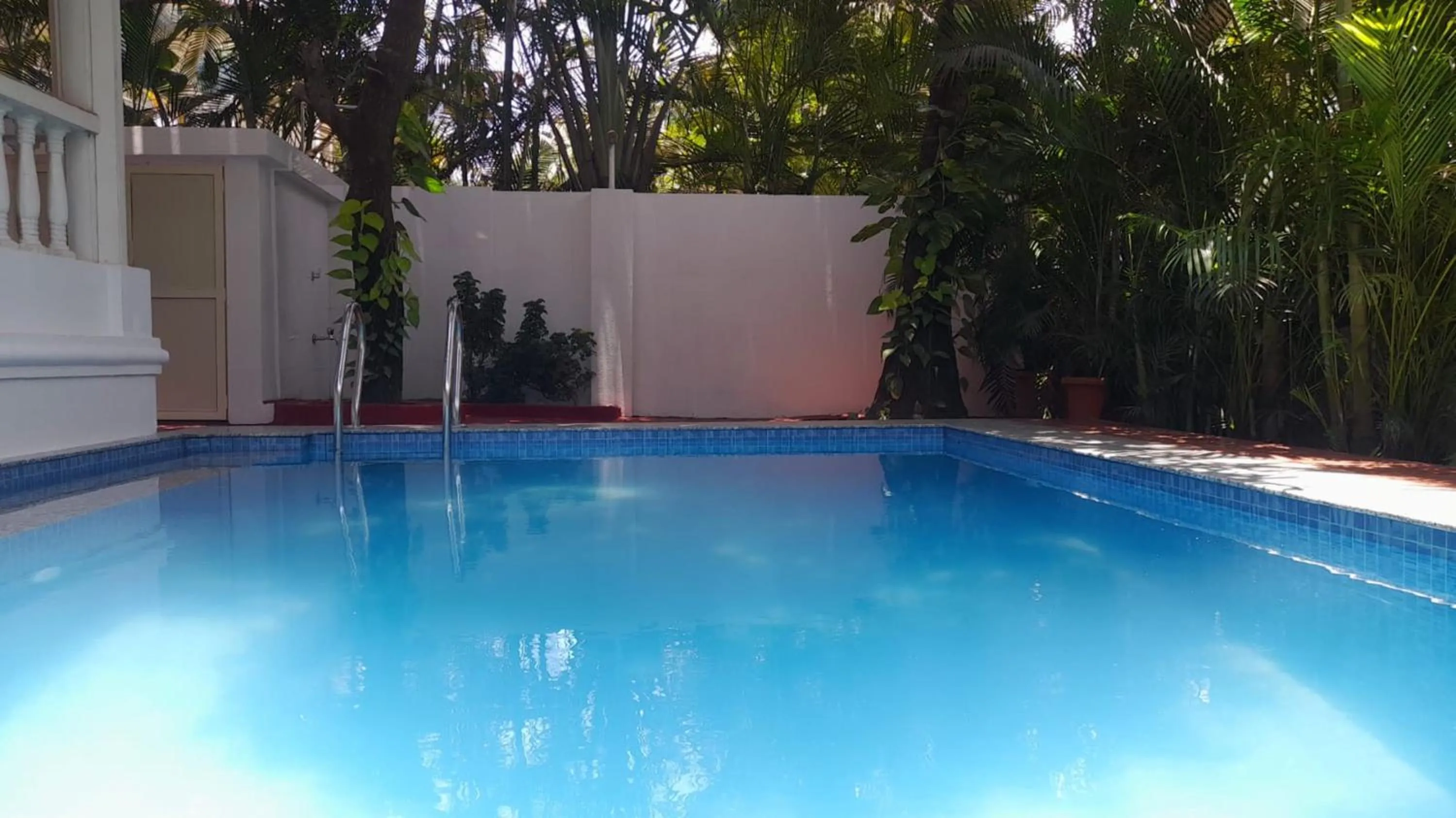Pool view in Villa Baywalk Goa - 200 meters from Morjim Beach