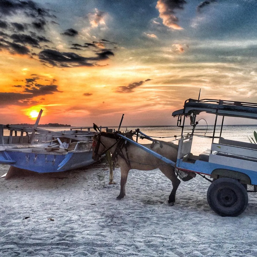 Natural landscape in Puri Air Beach Resort & Spa