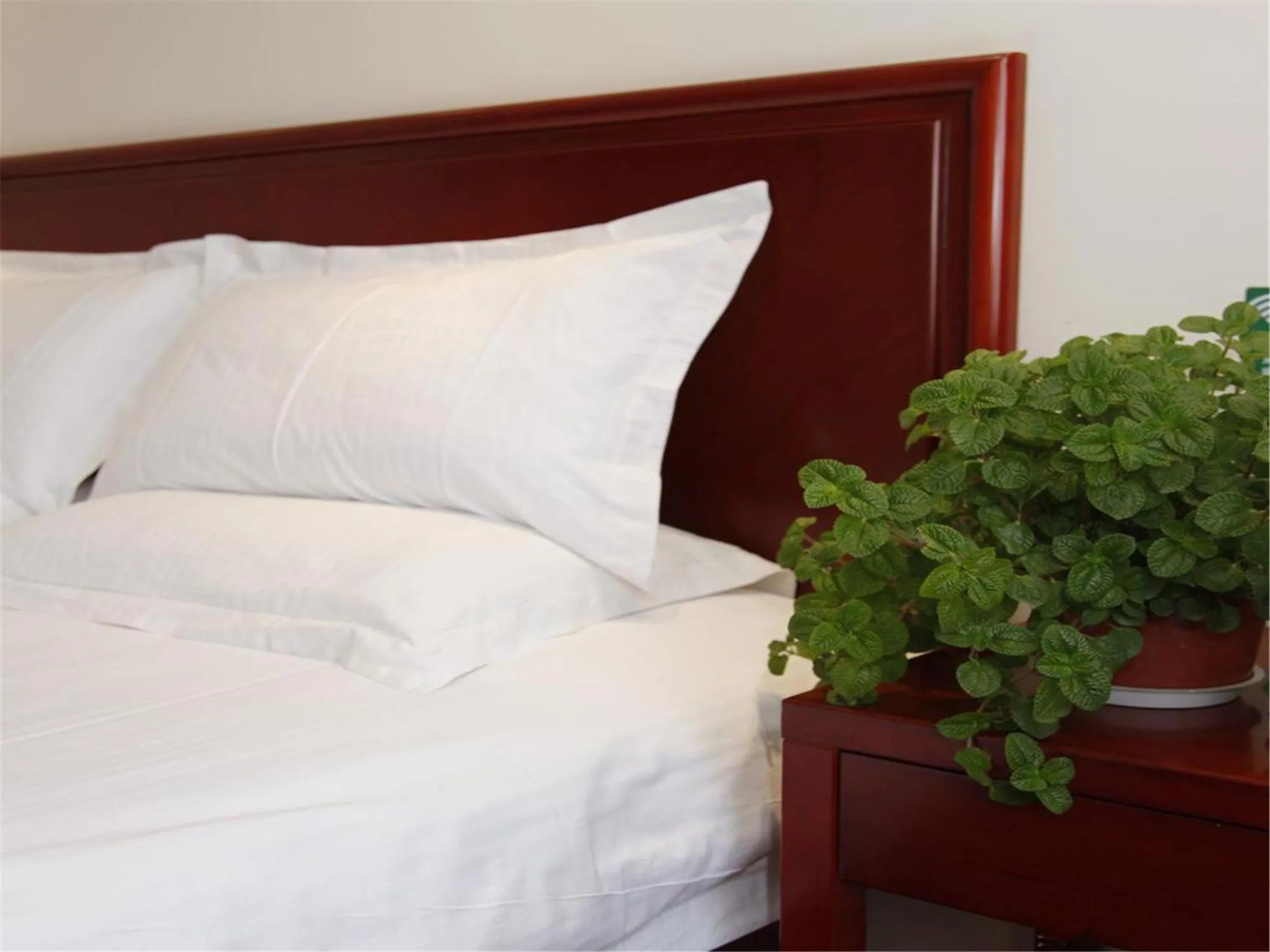 Other, Bed in GreenTree Inn Tianjin Xiqing Development Zone Renrenle Square Express Hotel