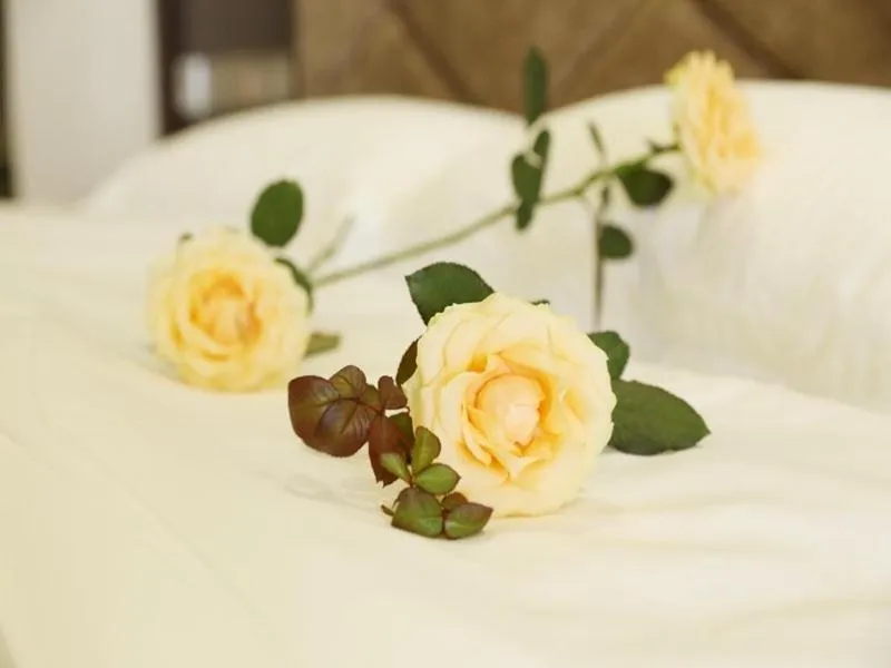 GreenTree Inn SiChuan Chengdu Airport Road Zhujiang Road Express Hotel