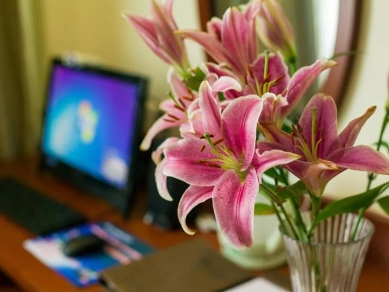 GreenTree Inn AnHui XuanCheng LangXi GuoGou Plaza North Gate Express Hotel