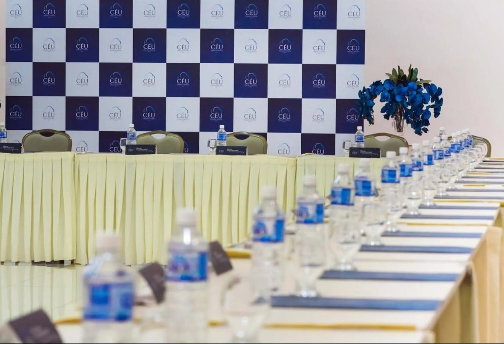 Banquet/Function facilities in Céu Palmas Hotel