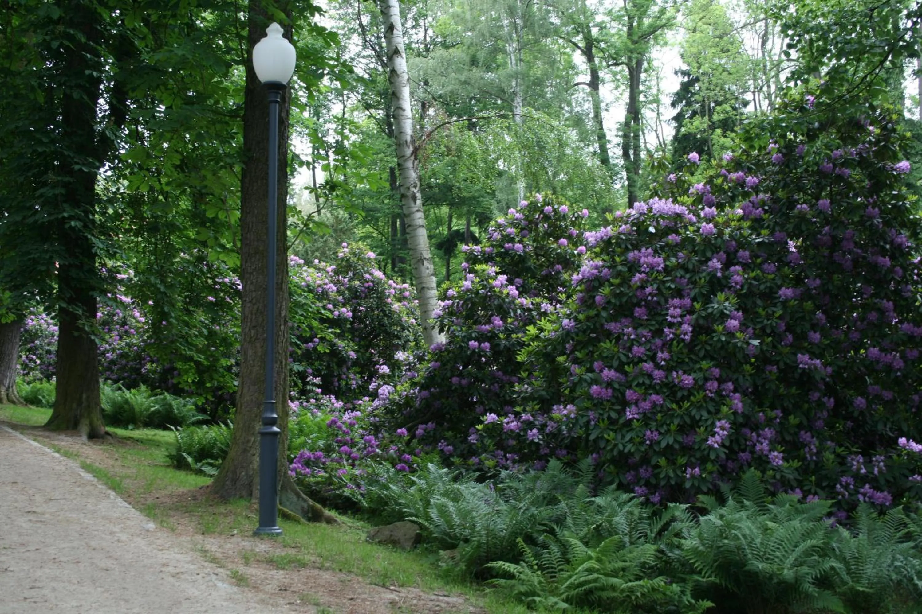 Garden in Willa Zameczek