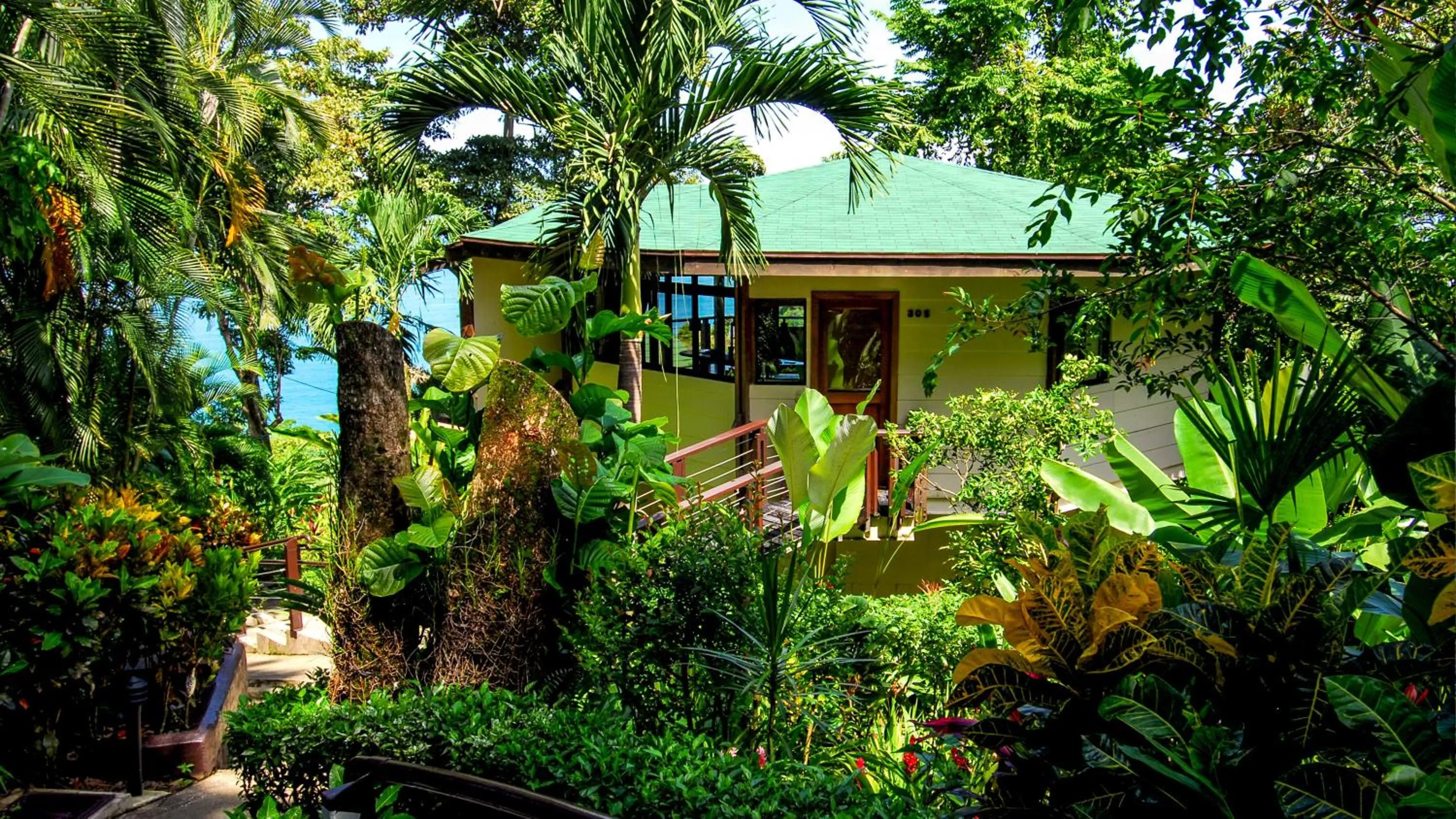 Photo of the whole room in Tulemar Resort