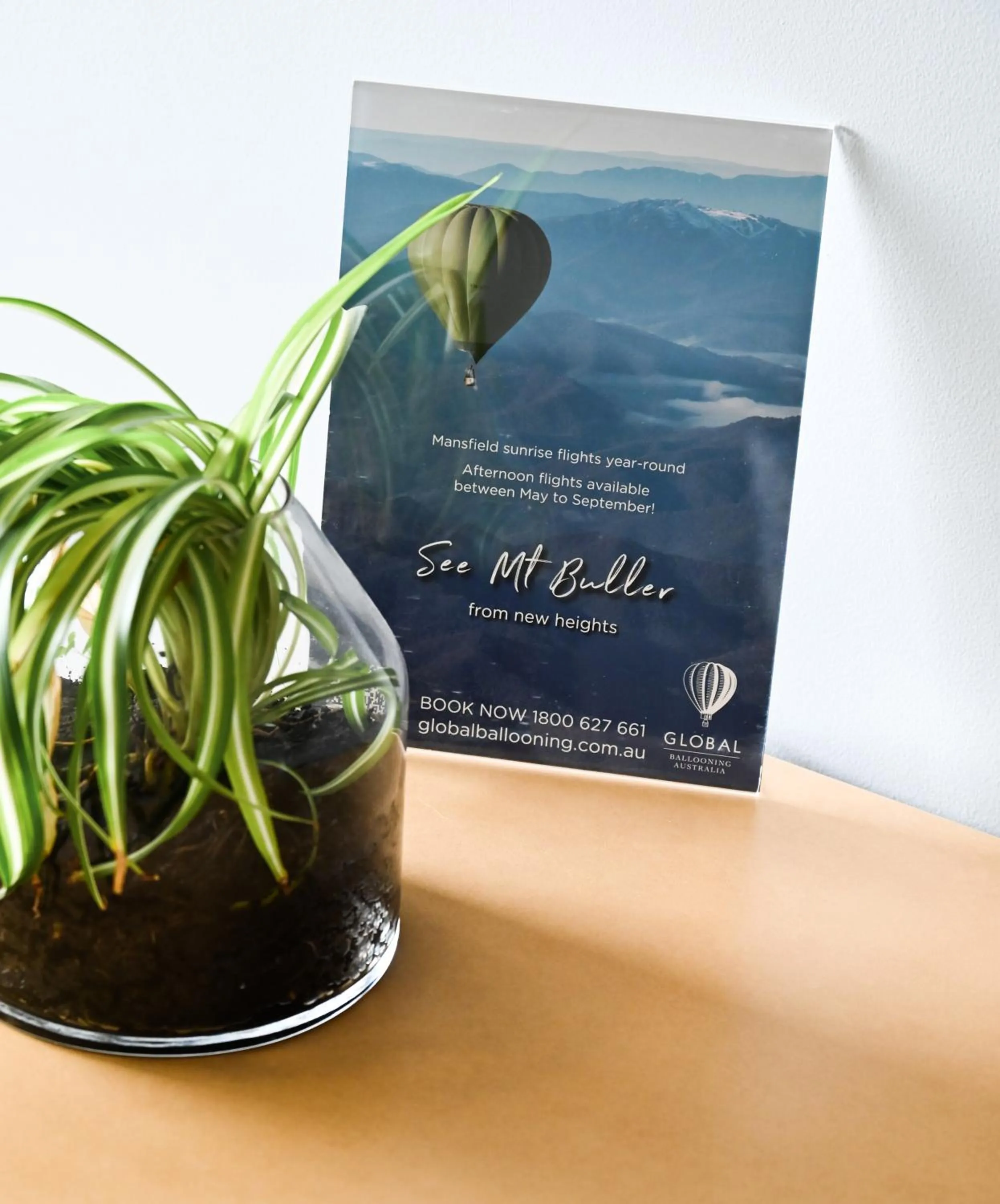 Decorative detail in Mansfield Apartments