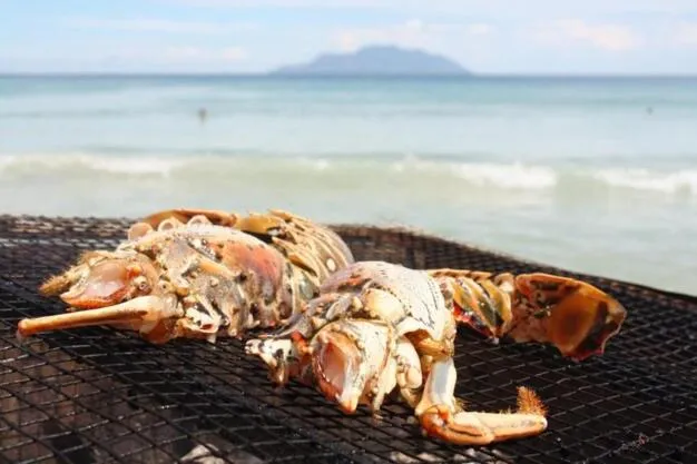 Food in Sandy Beach Bungalows by EHM