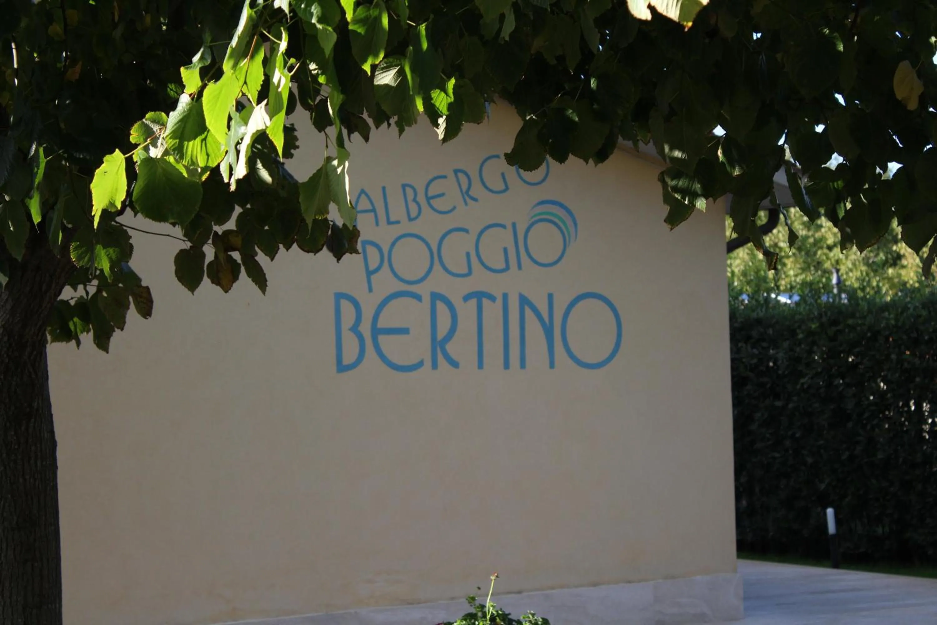 Decorative detail in Hotel Poggio Bertino