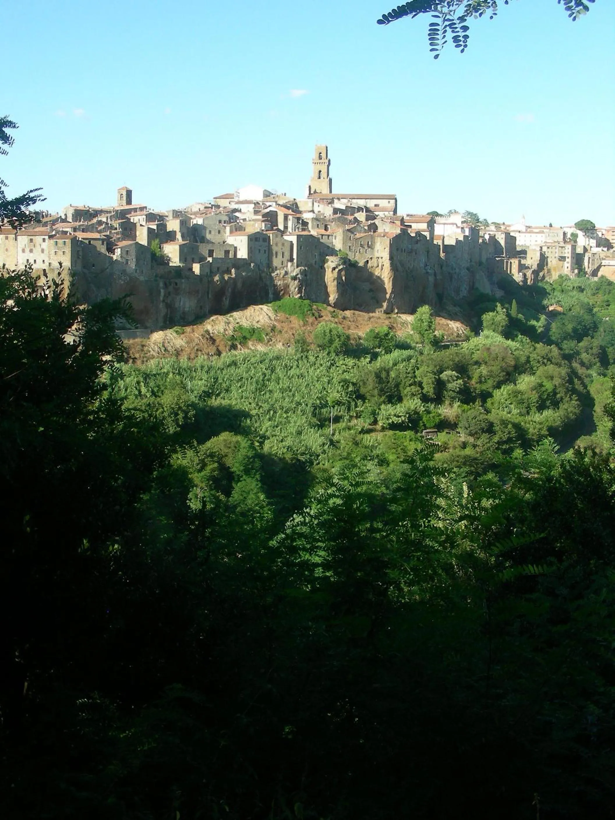 Area and facilities in Hotel Poggio Bertino
