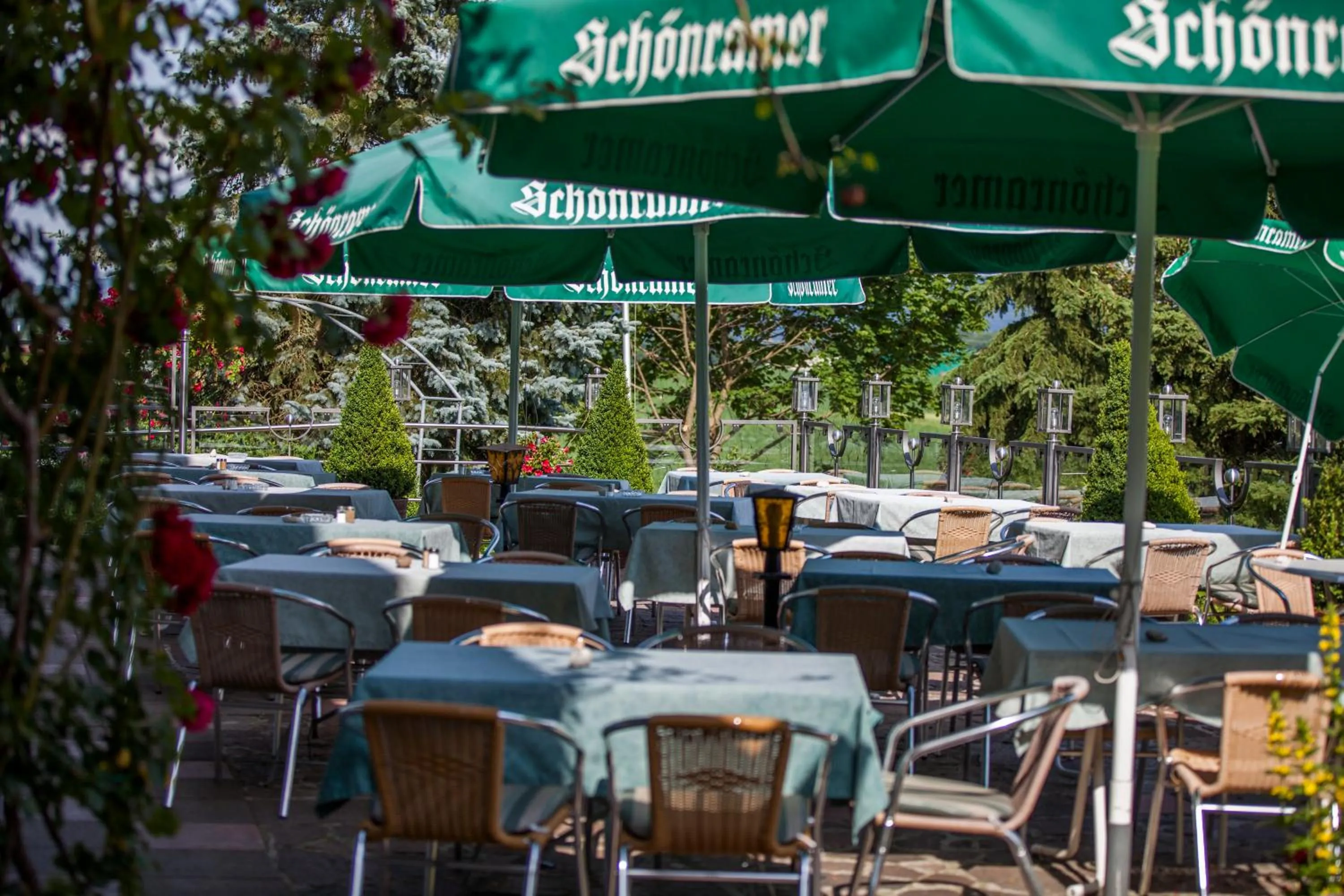 Restaurant/places to eat in Gasthof Sonnenheim