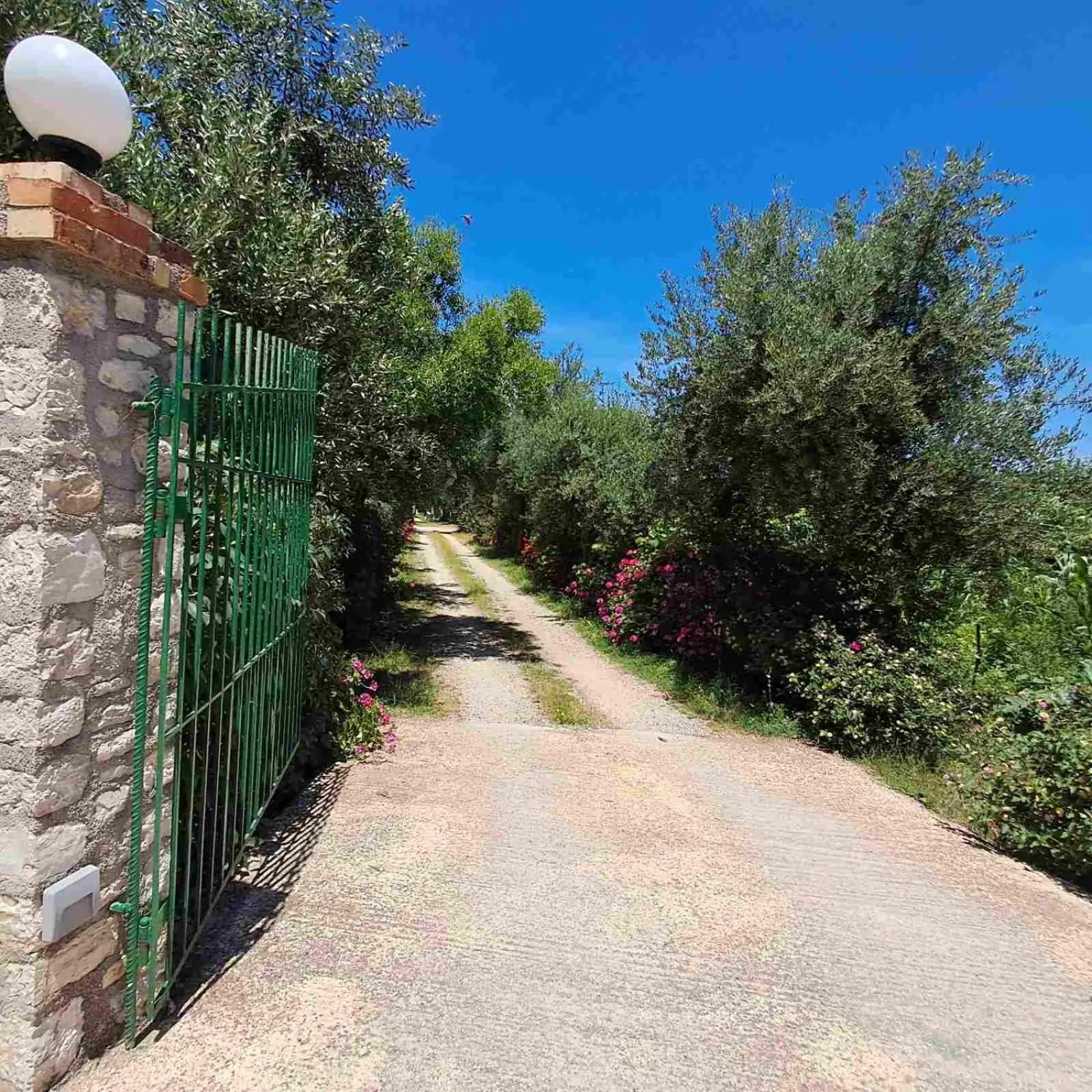 Facade/entrance in Olga's Garden Apartments