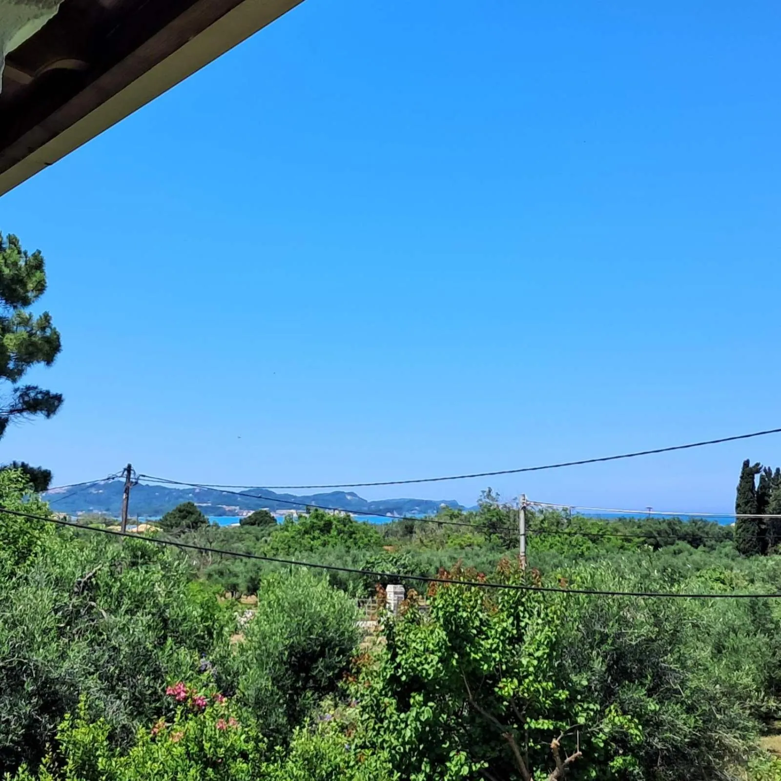 View (from property/room) in Olga's Garden Apartments