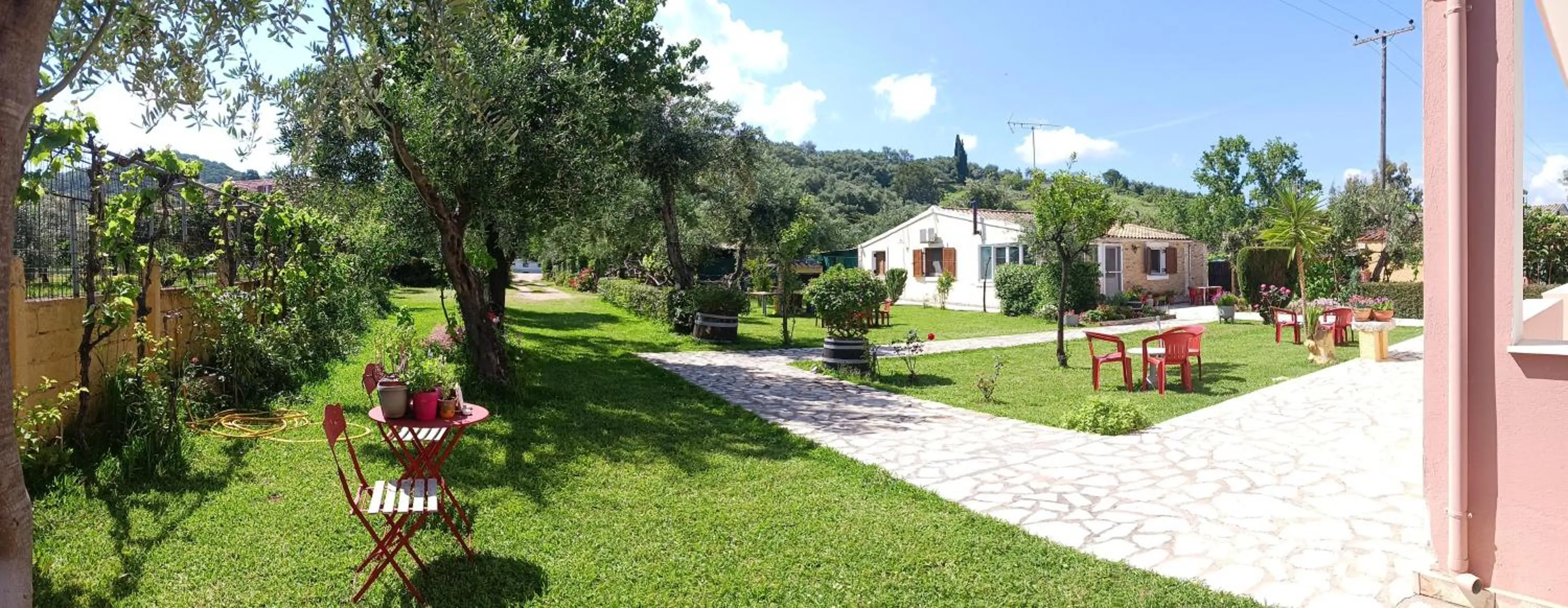 Garden in Olga's Garden Apartments