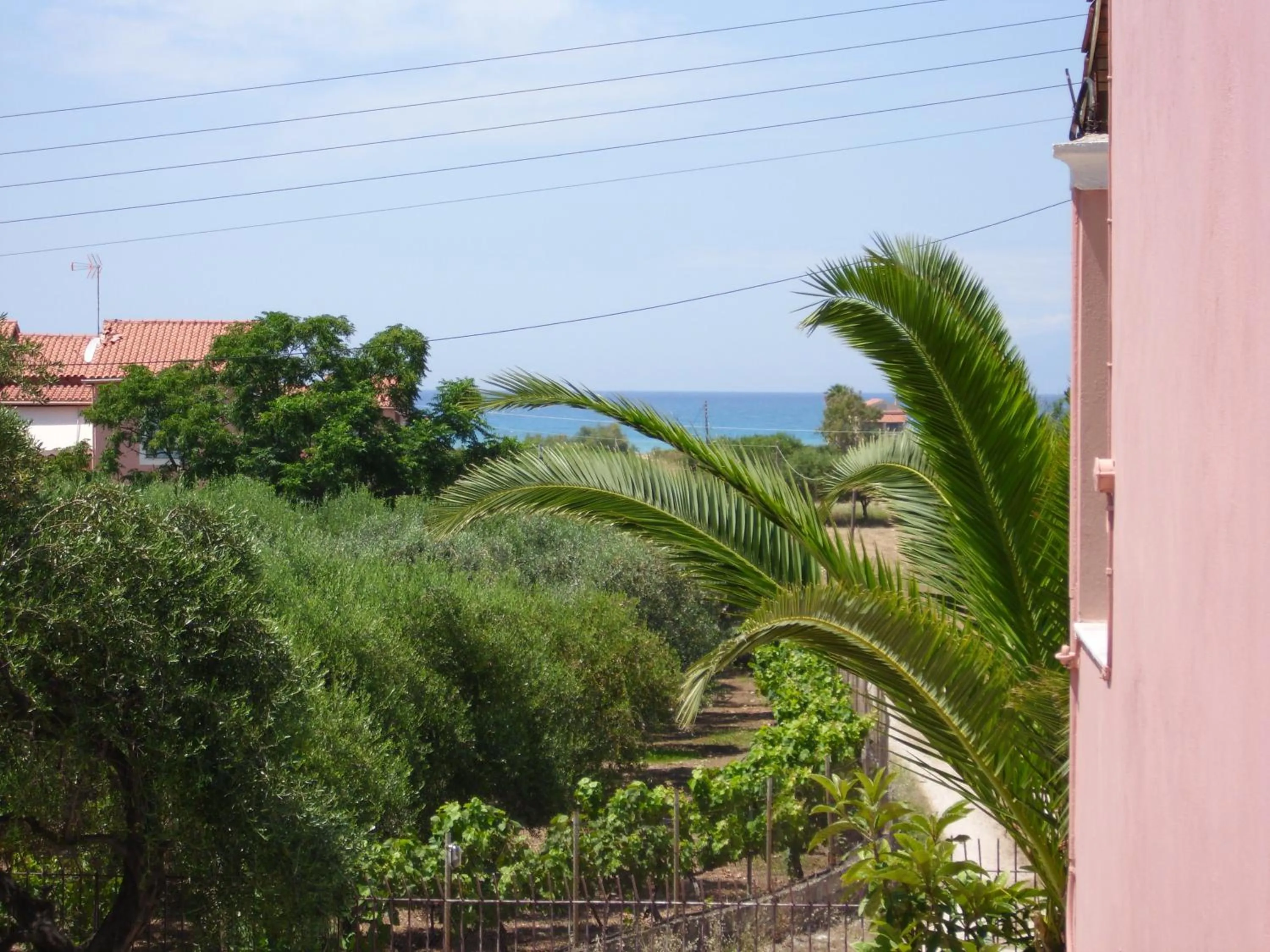 Natural landscape in Olga's Garden Apartments