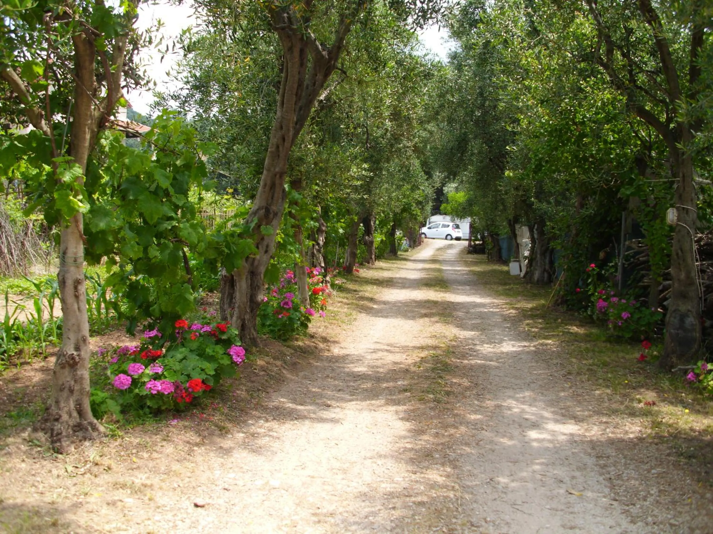 Spring in Olga's Garden Apartments