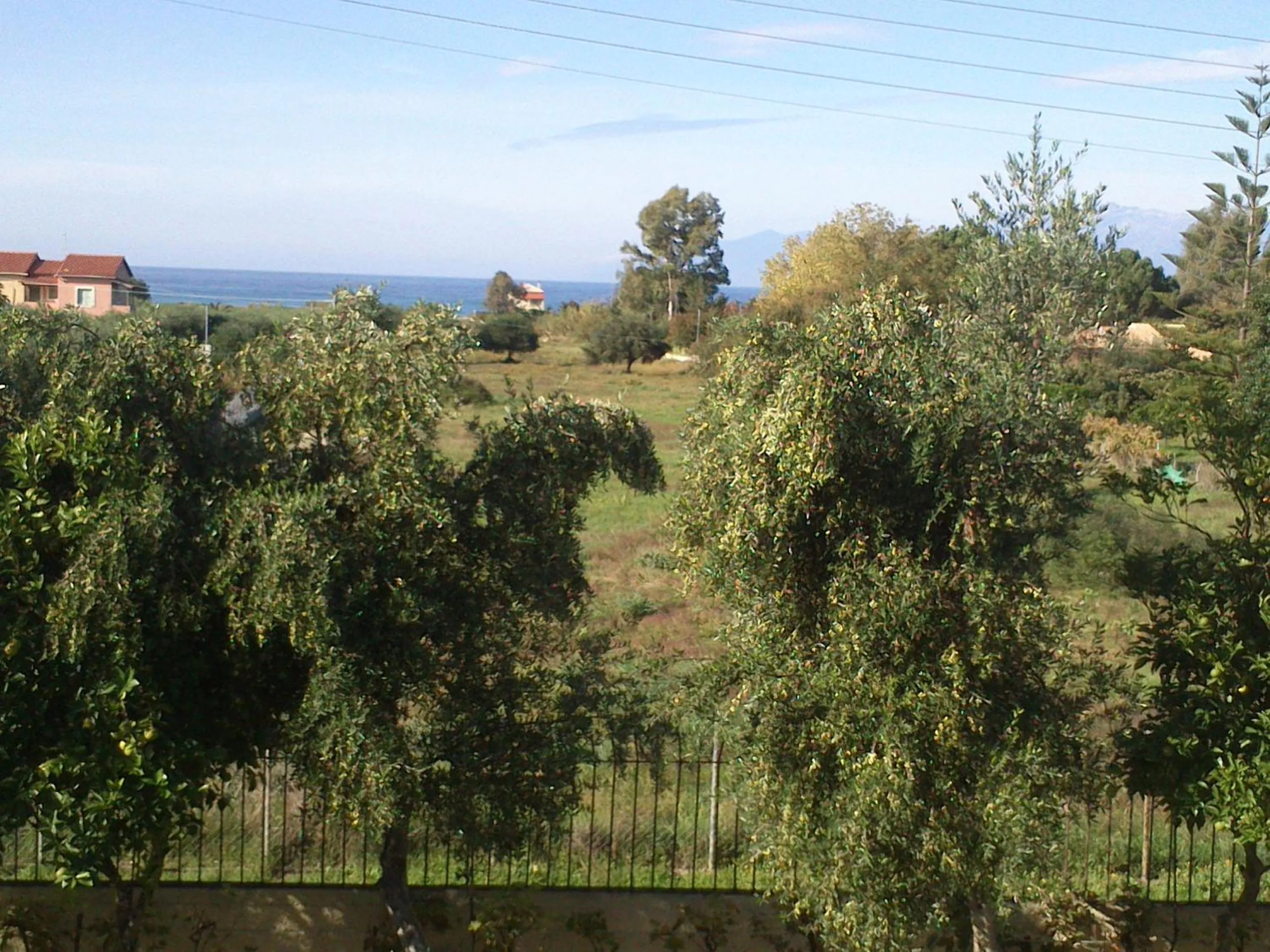 Spring in Olga's Garden Apartments