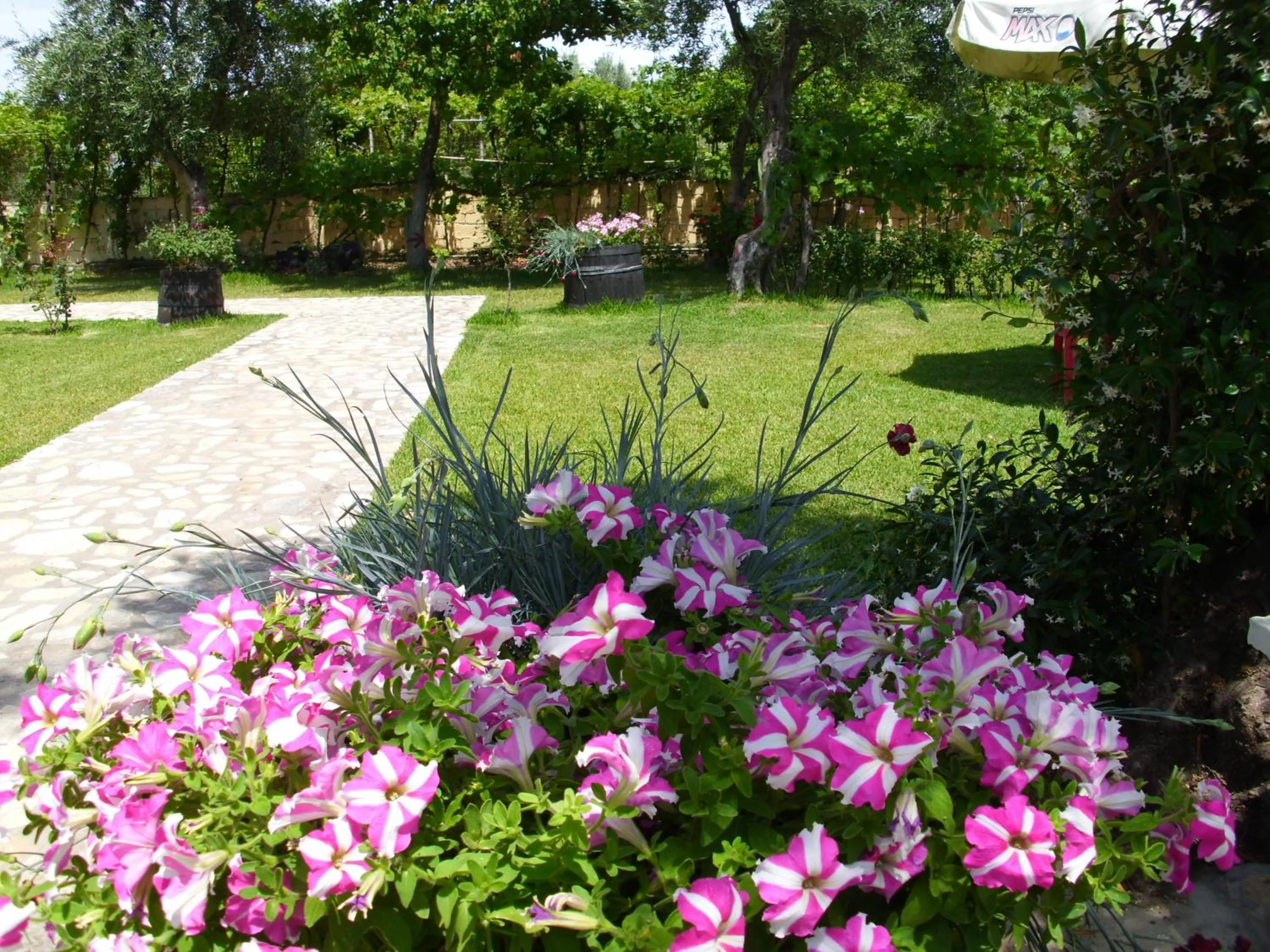Spring in Olga's Garden Apartments
