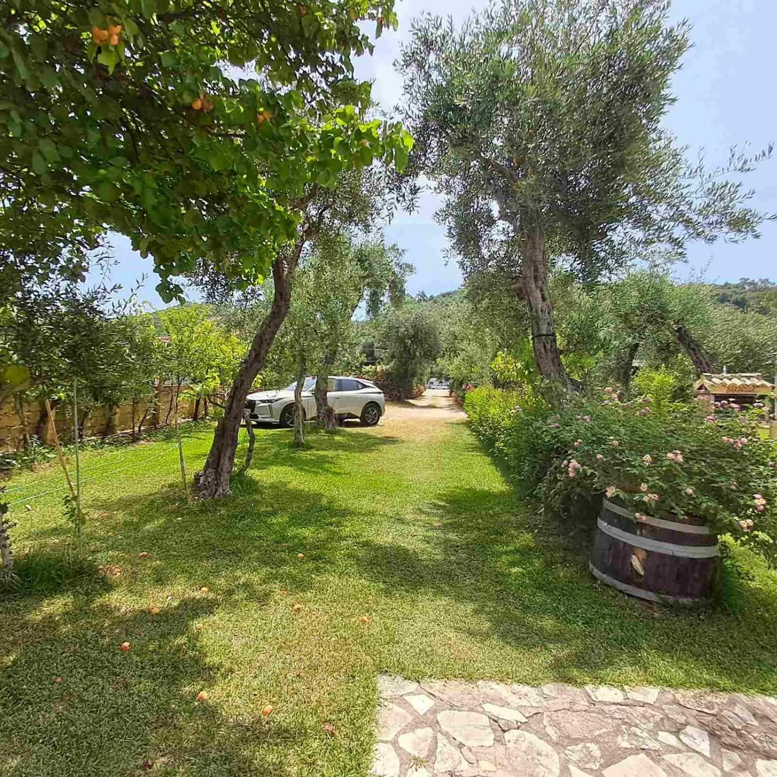 Parking in Olga's Garden Apartments