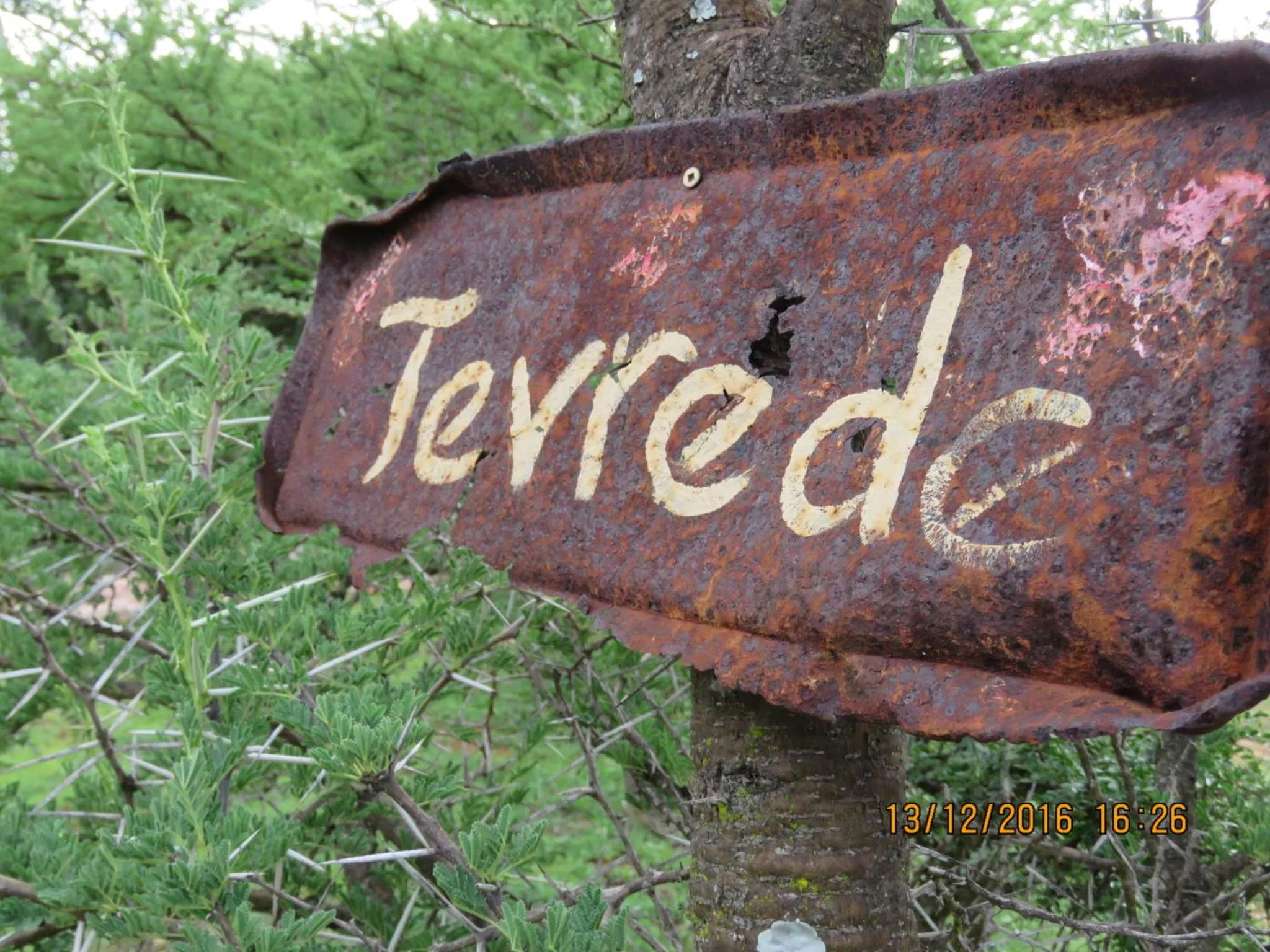 Decorative detail in Klein Paradys Lodge - Polokwane