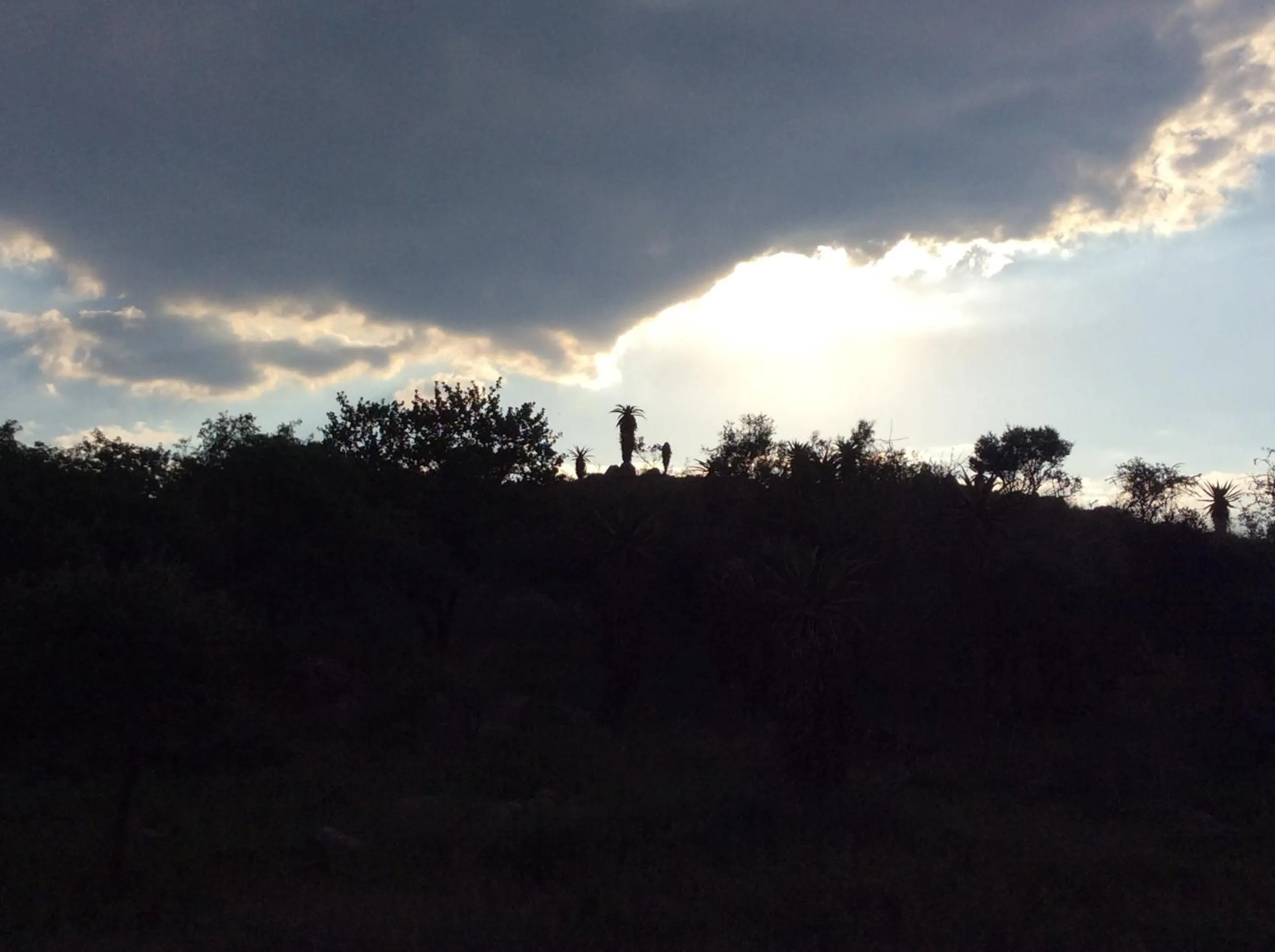 Natural landscape in Klein Paradys Lodge - Polokwane