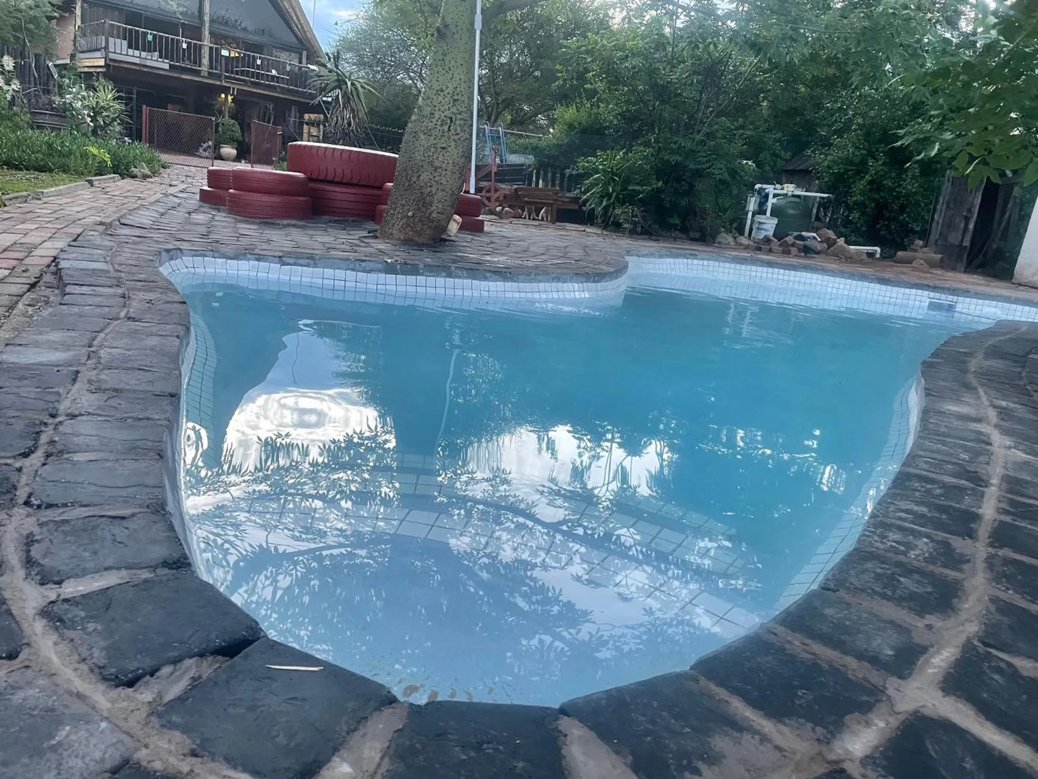 Swimming pool in Klein Paradys Lodge - Polokwane