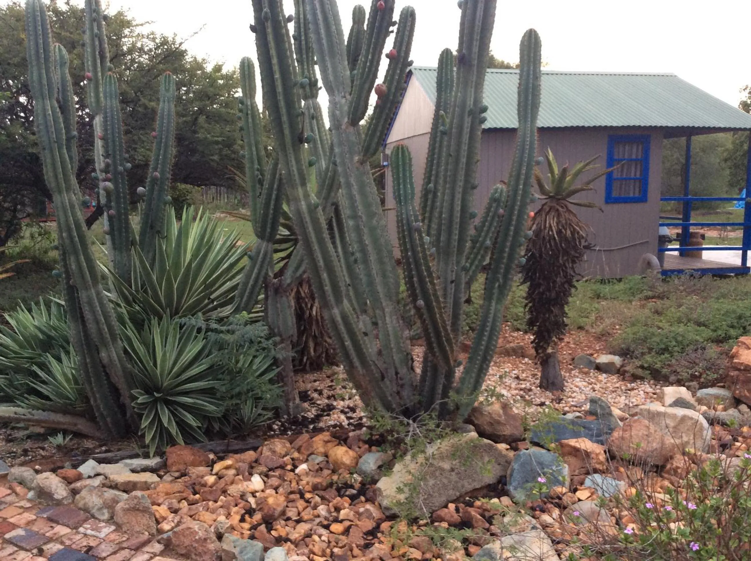 Garden in Klein Paradys Lodge - Polokwane