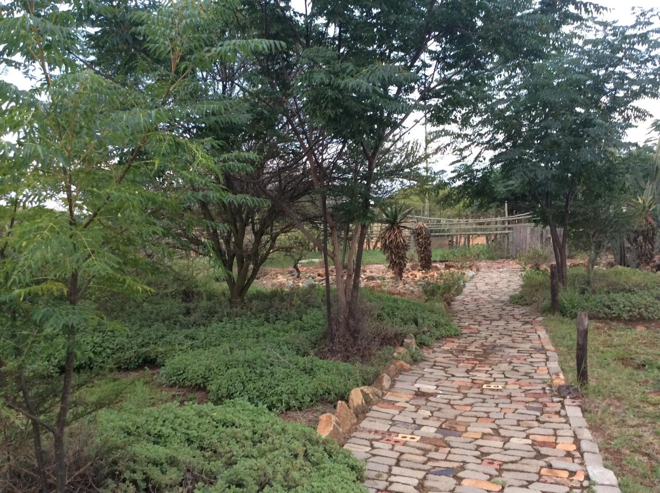 Garden in Klein Paradys Lodge - Polokwane
