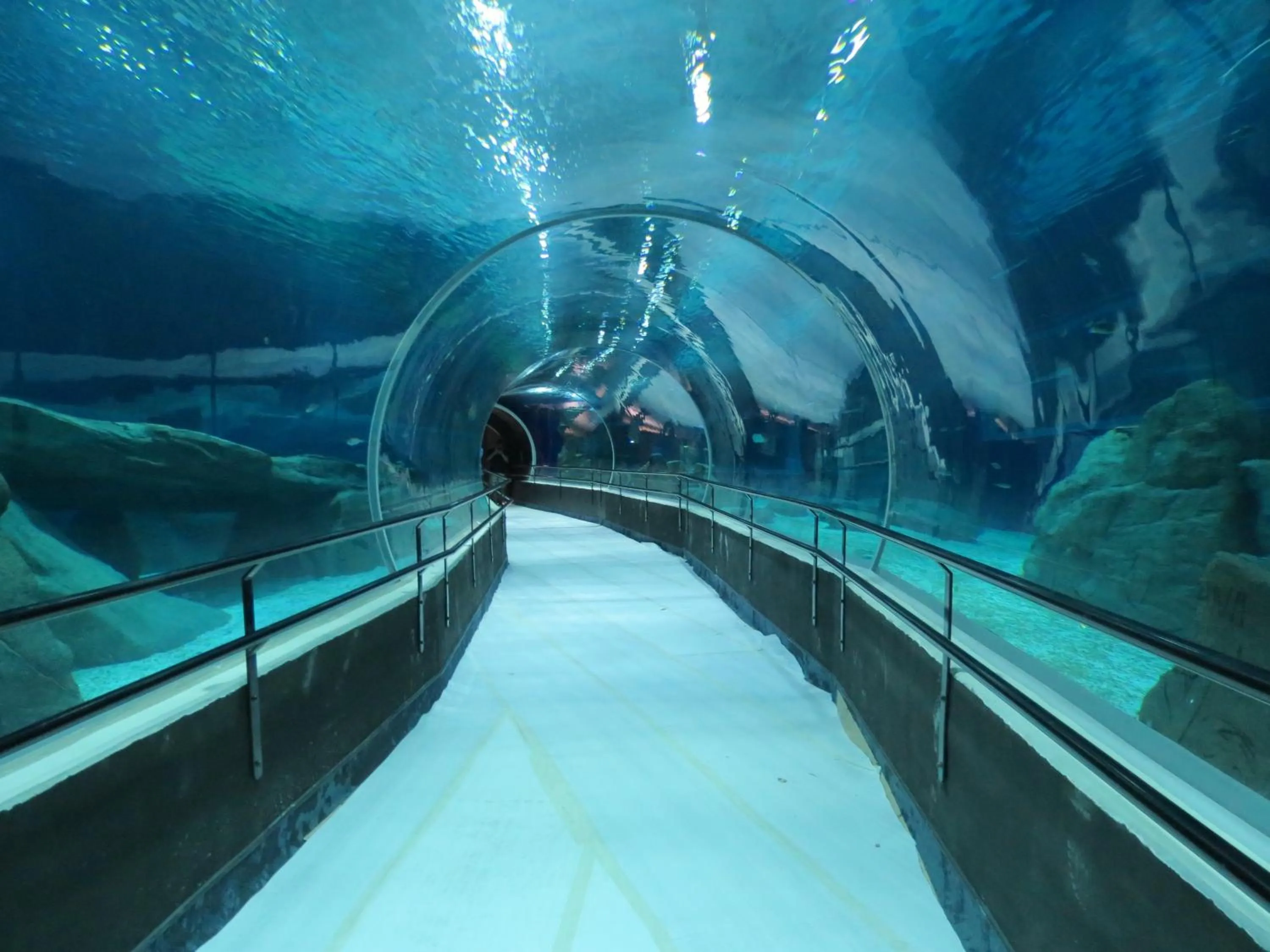 Aqua park in Mengo Palace Hotel