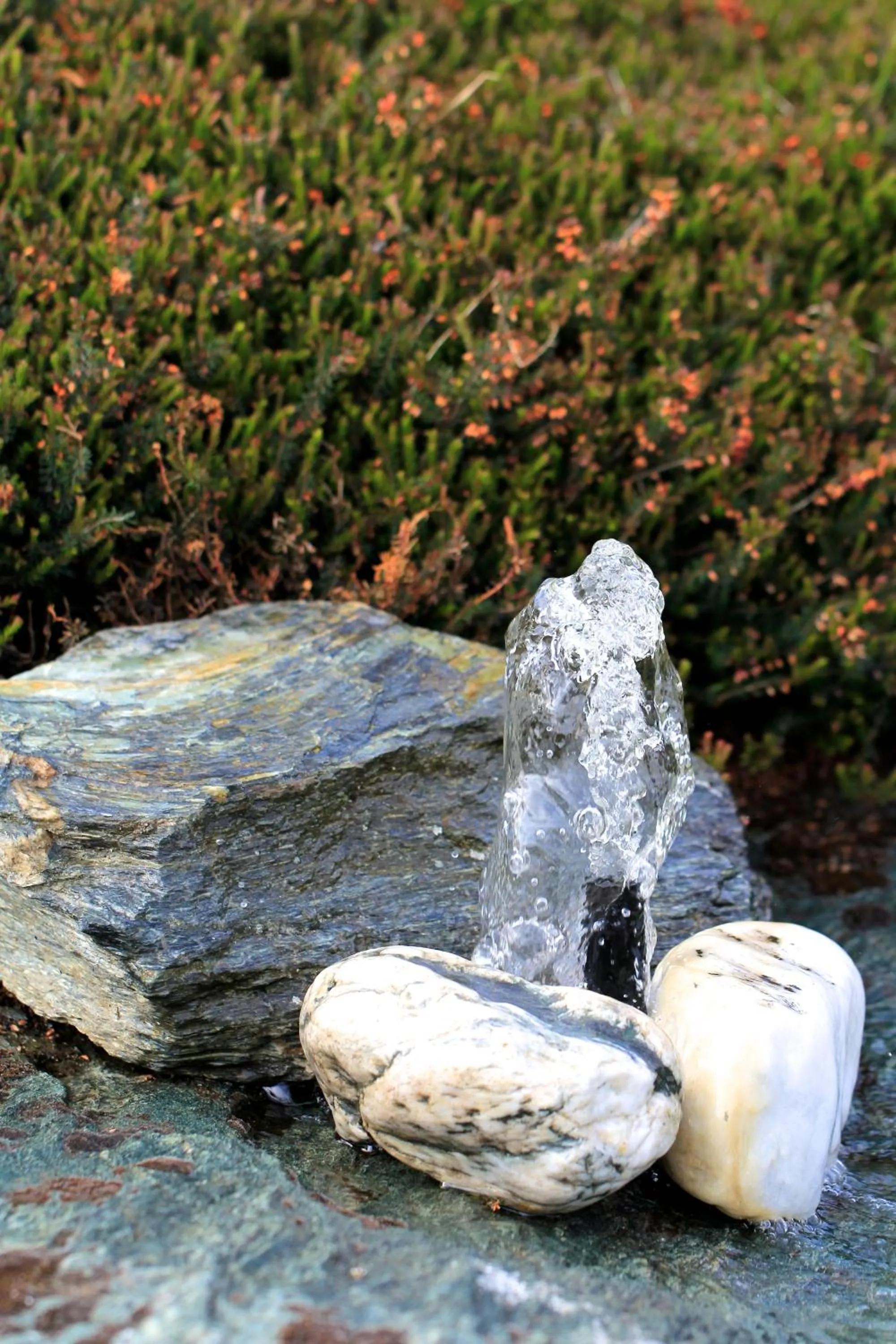 Summer in The Shan's Lodge