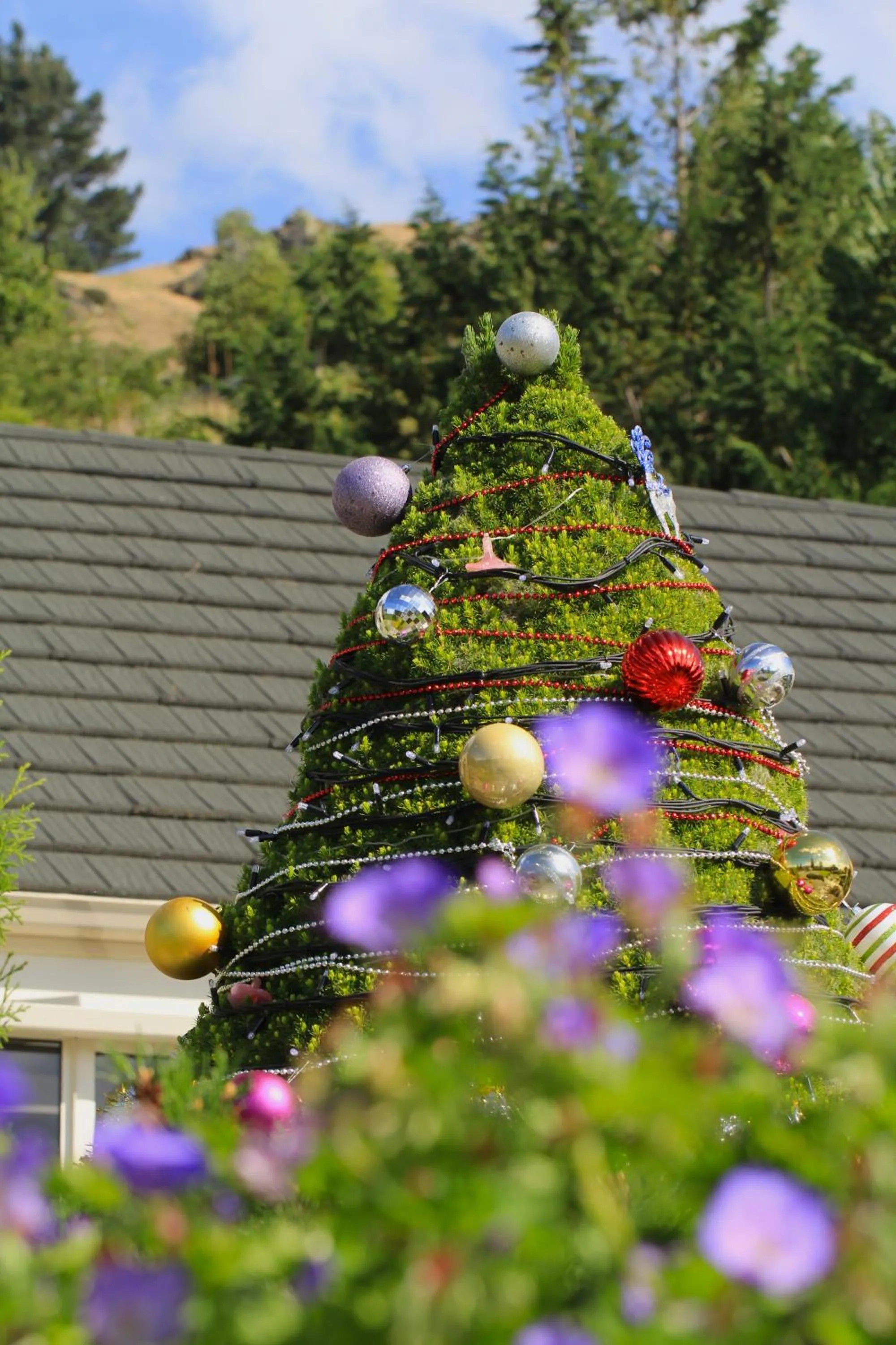 Patio in The Shan's Lodge