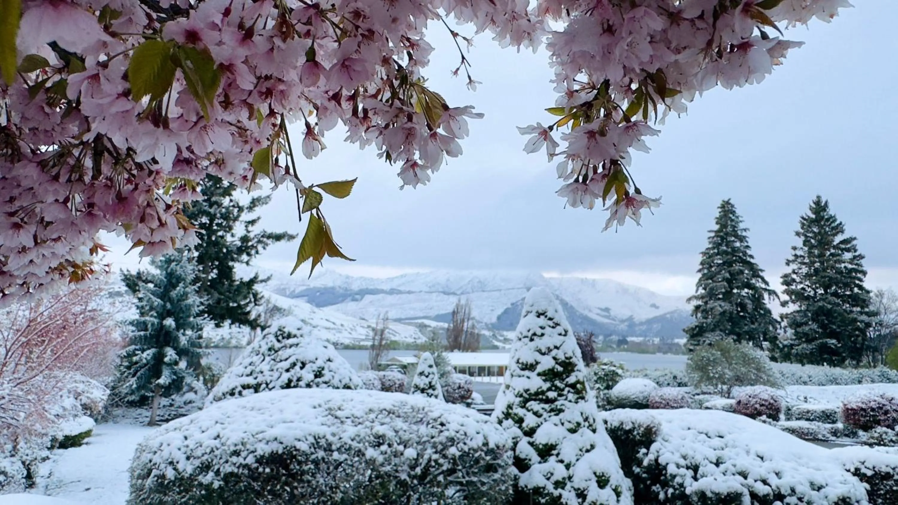 Natural landscape in The Shan's Lodge