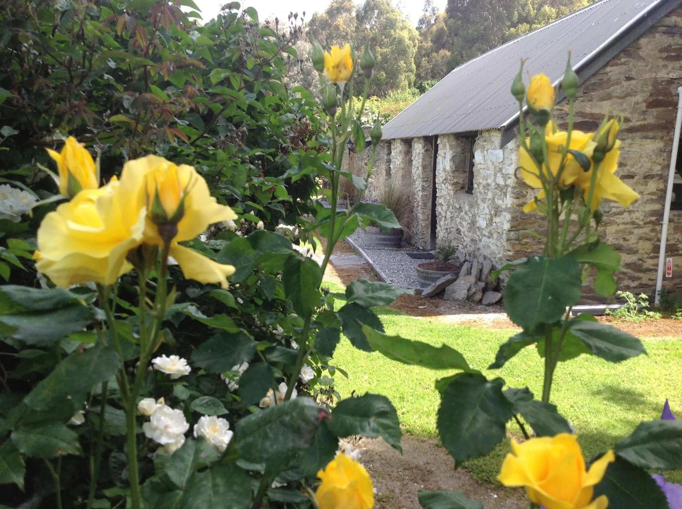 Facade/entrance in Queensberry Inn