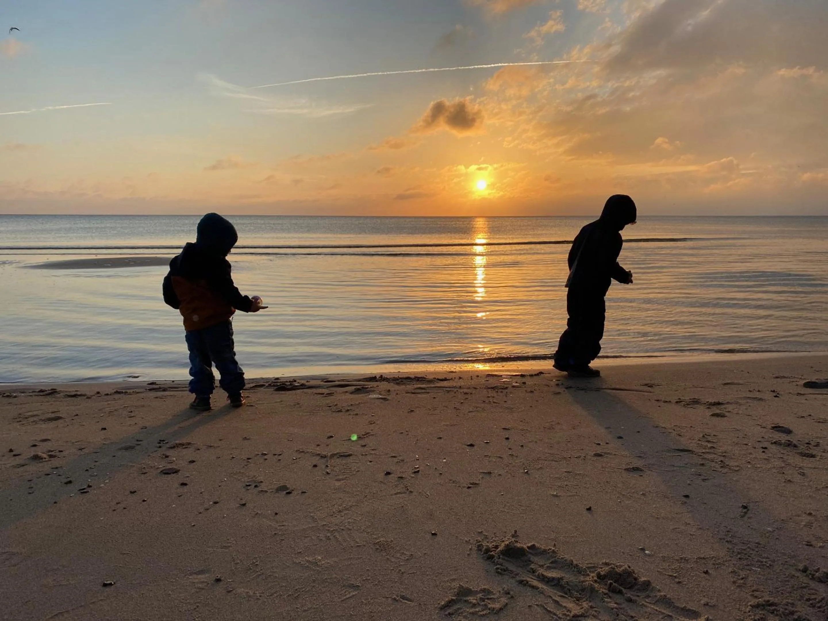 Beach in Ferienwohnung Sturmmöwe