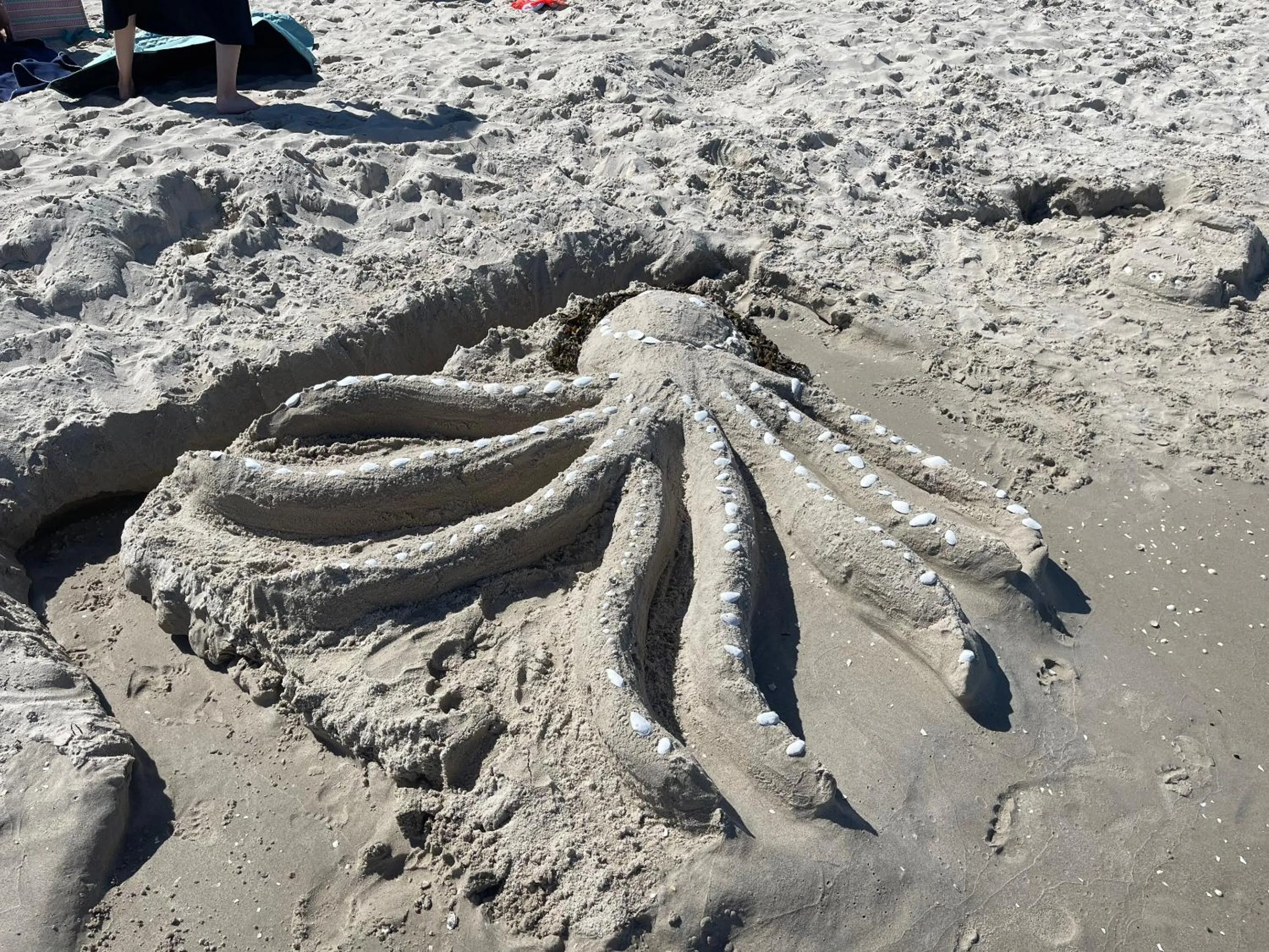 Beach in Ferienwohnung Sturmmöwe