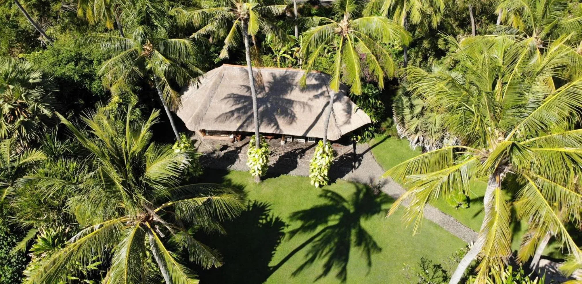 Garden in Ciliks Beach Garden