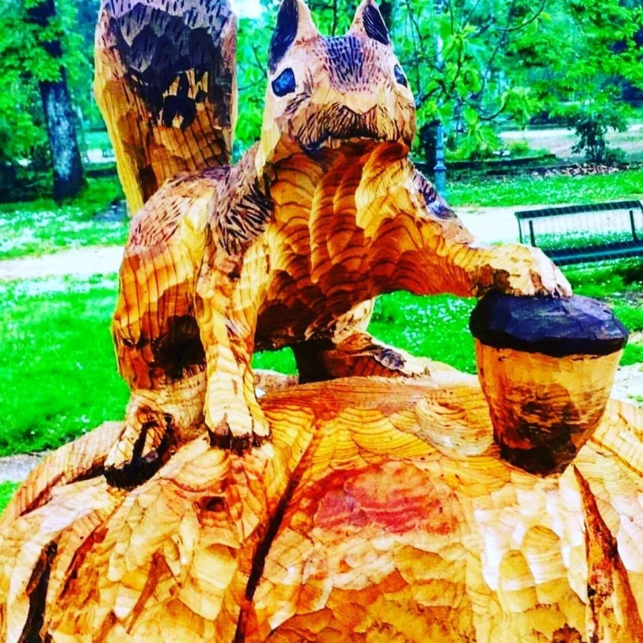 Activities in Hotel Elvira Fiuggi