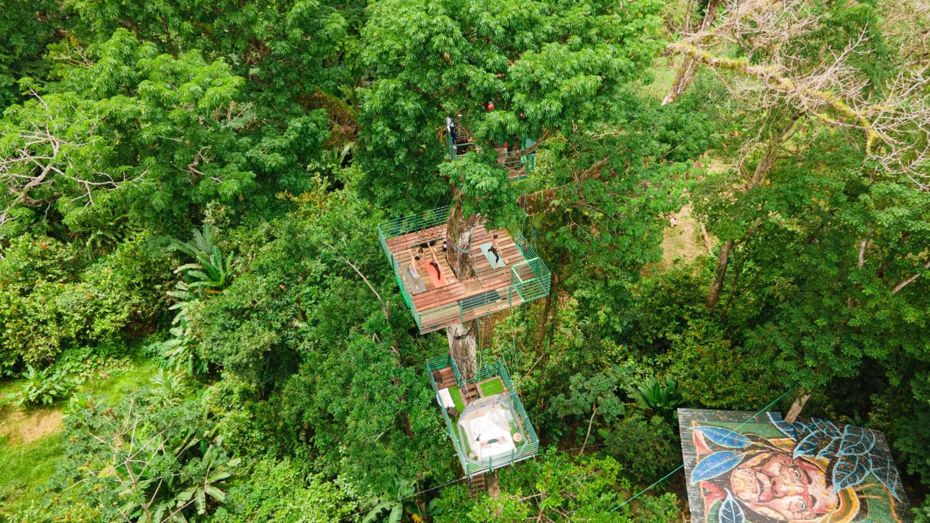 Natural landscape in The Green Jungle & Tree House Caribe