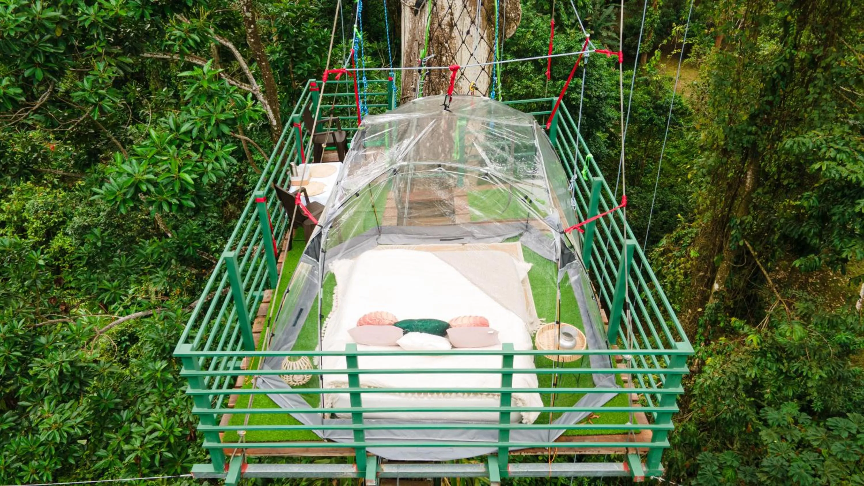 Natural landscape in The Green Jungle & Tree House Caribe