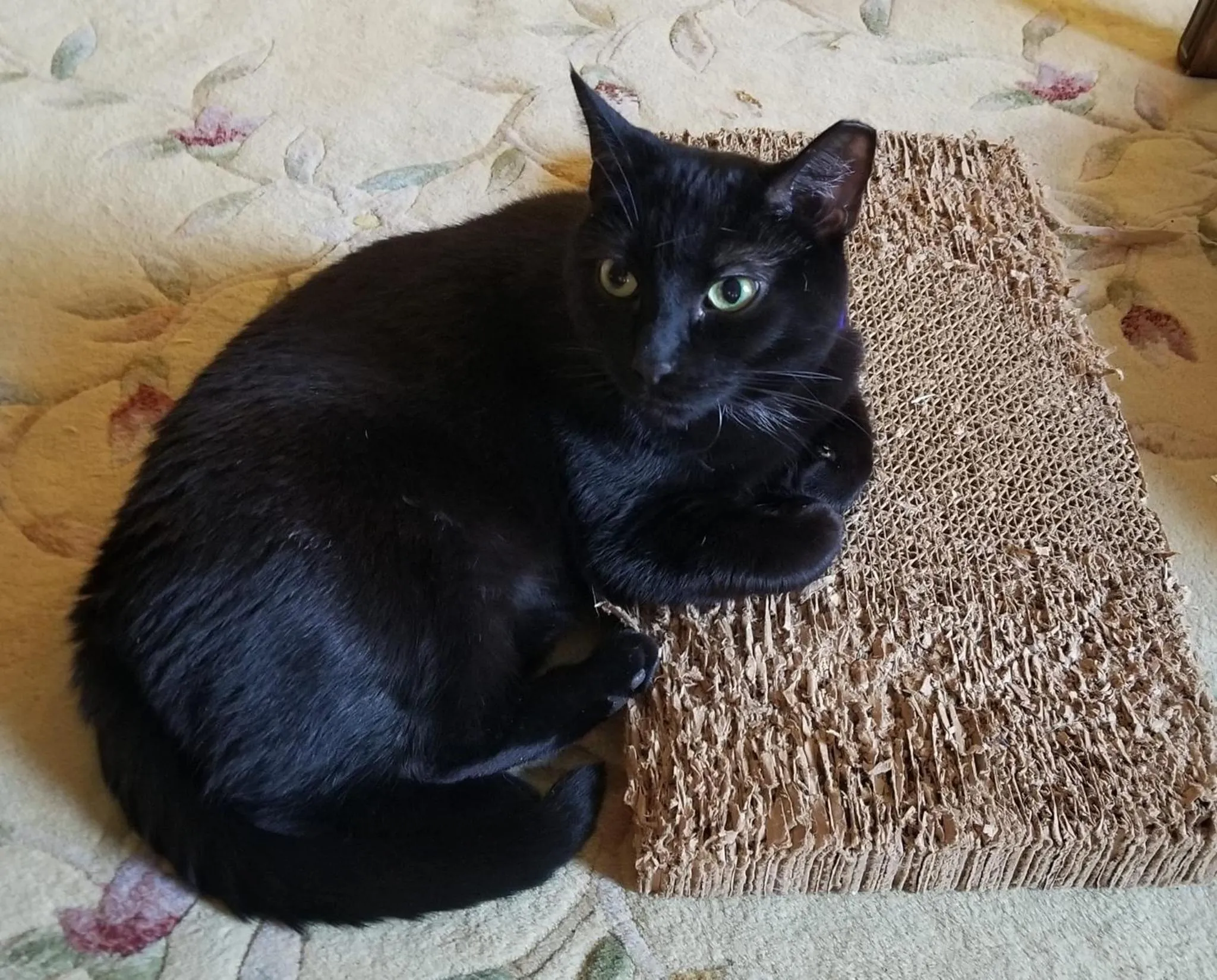 Clifford House Private Home B&B