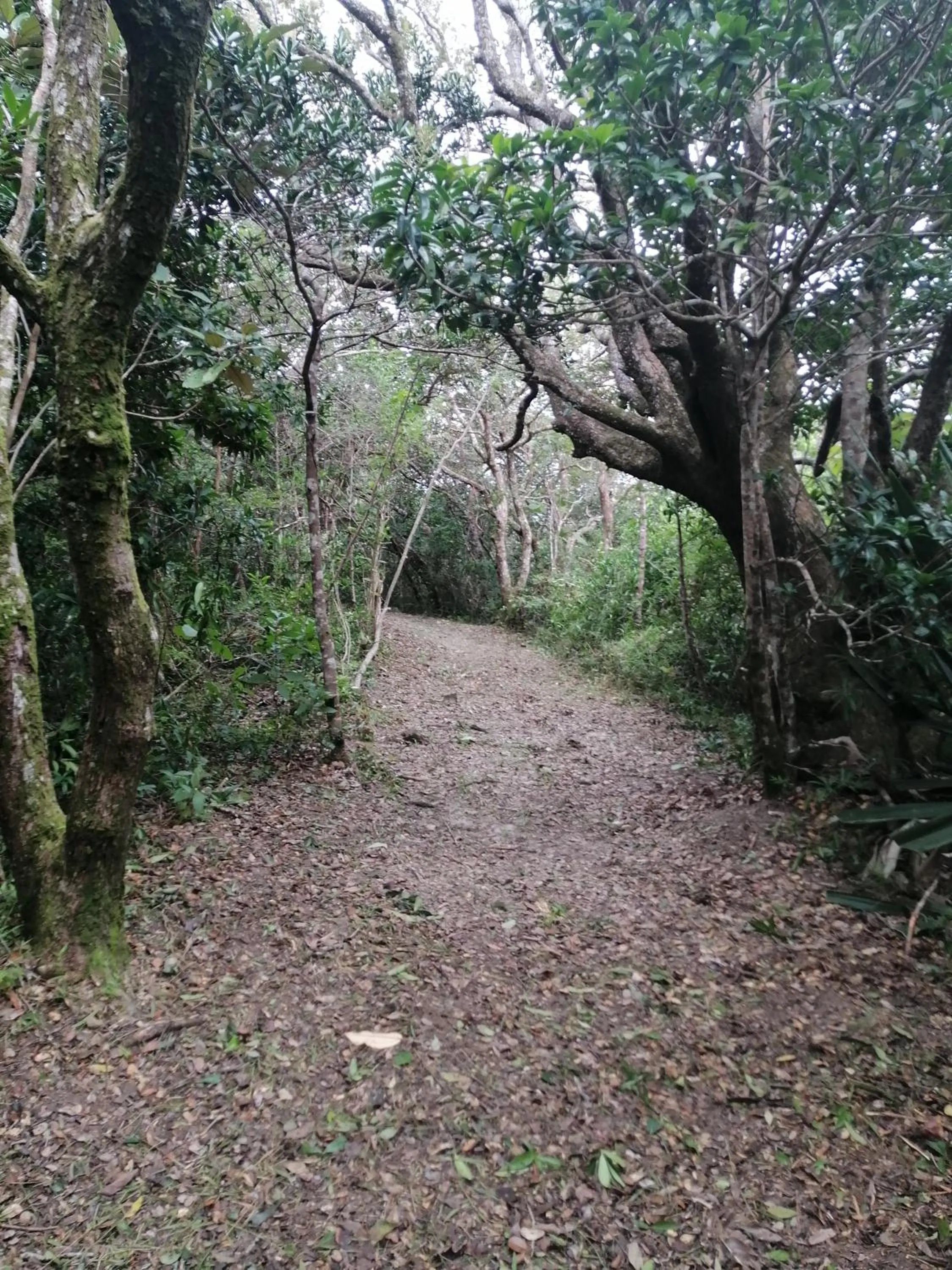 Natural landscape in Vida Aventura Ranch