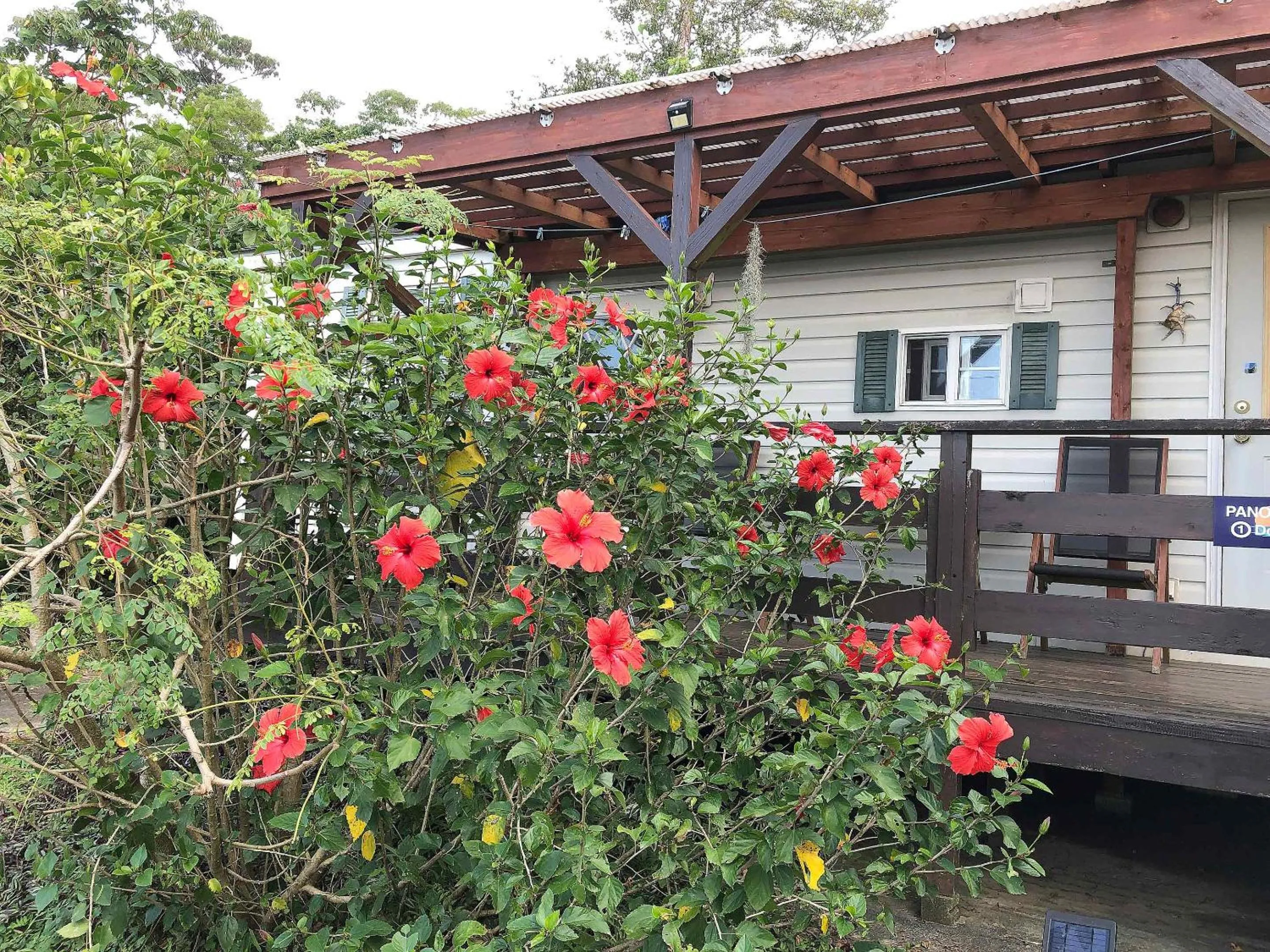 Property building in PANORAMA Ocean View Cottage
