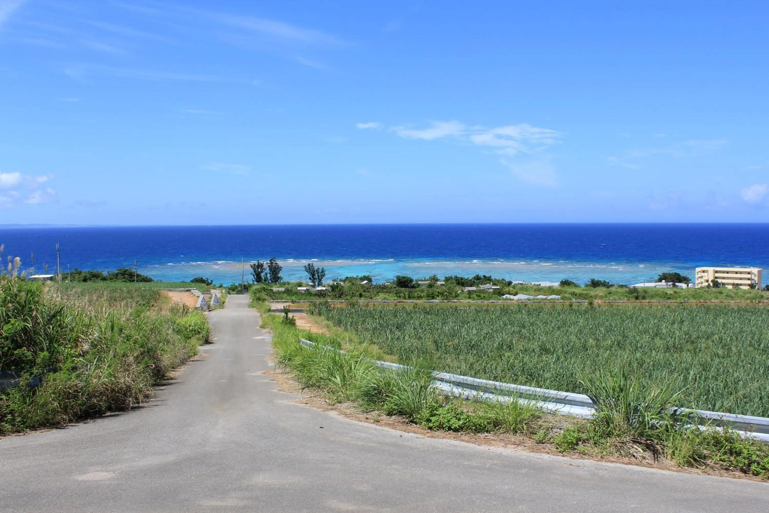 Day in PANORAMA Ocean View Cottage