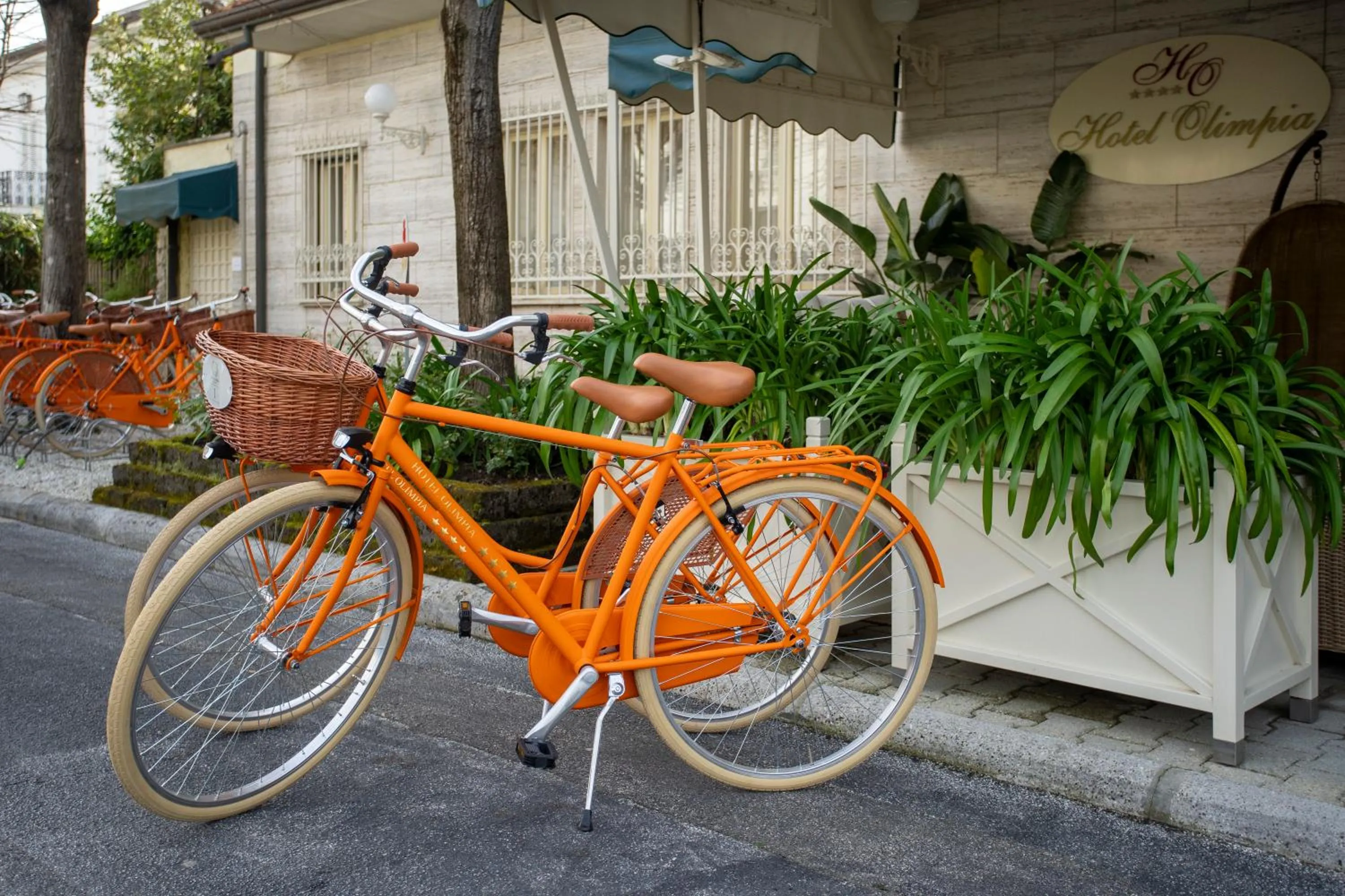 Cycling in Hotel Olimpia